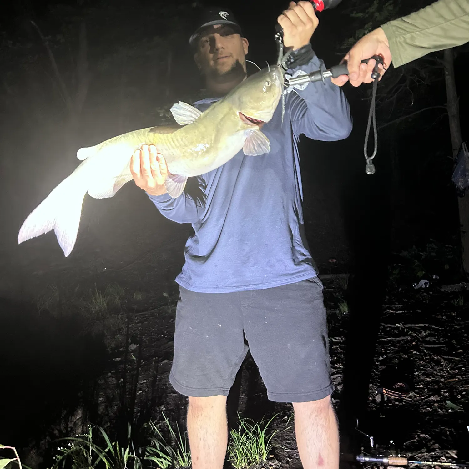 Channel catfish caught on Fishbrain