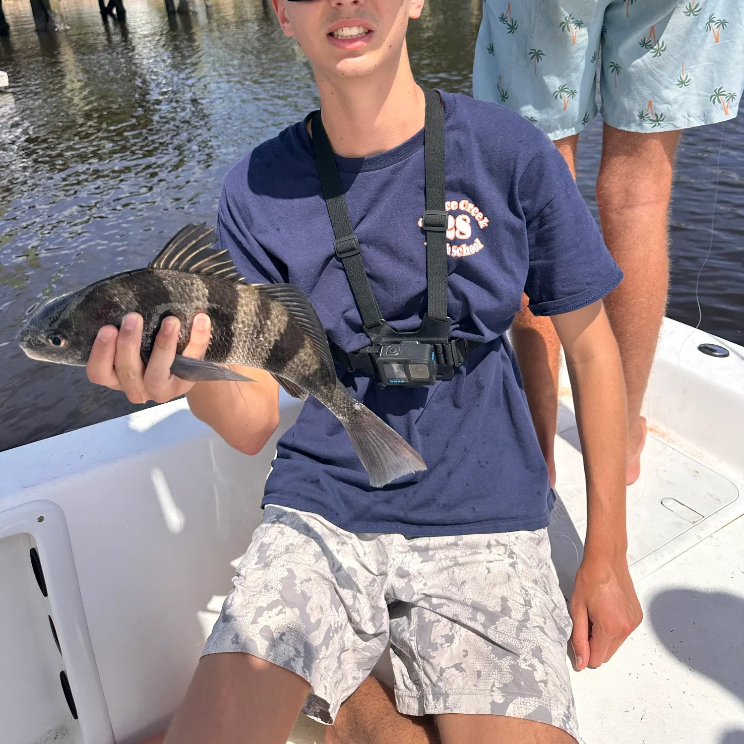 The most recent Black drum catches on Fishbrain
