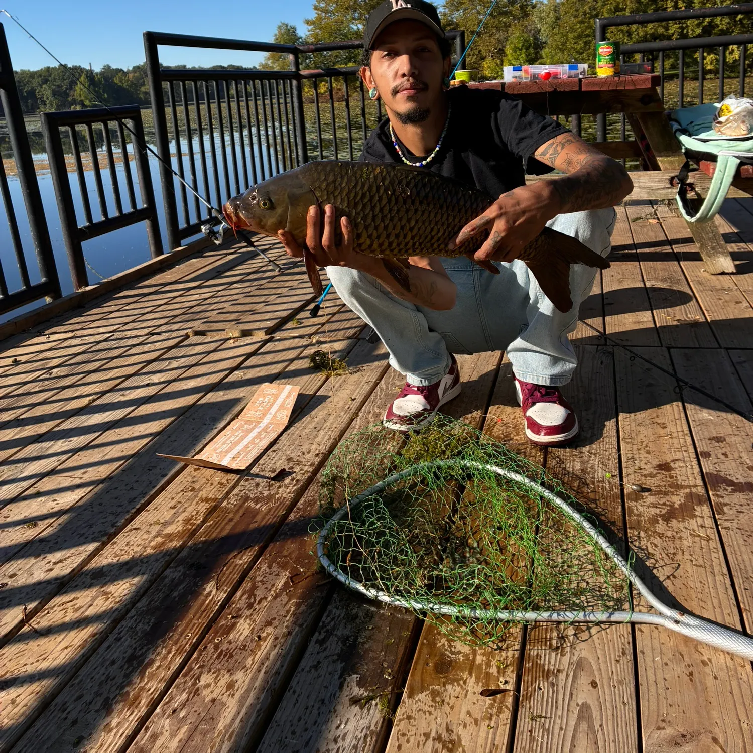 Common carp caught on Fishbrain