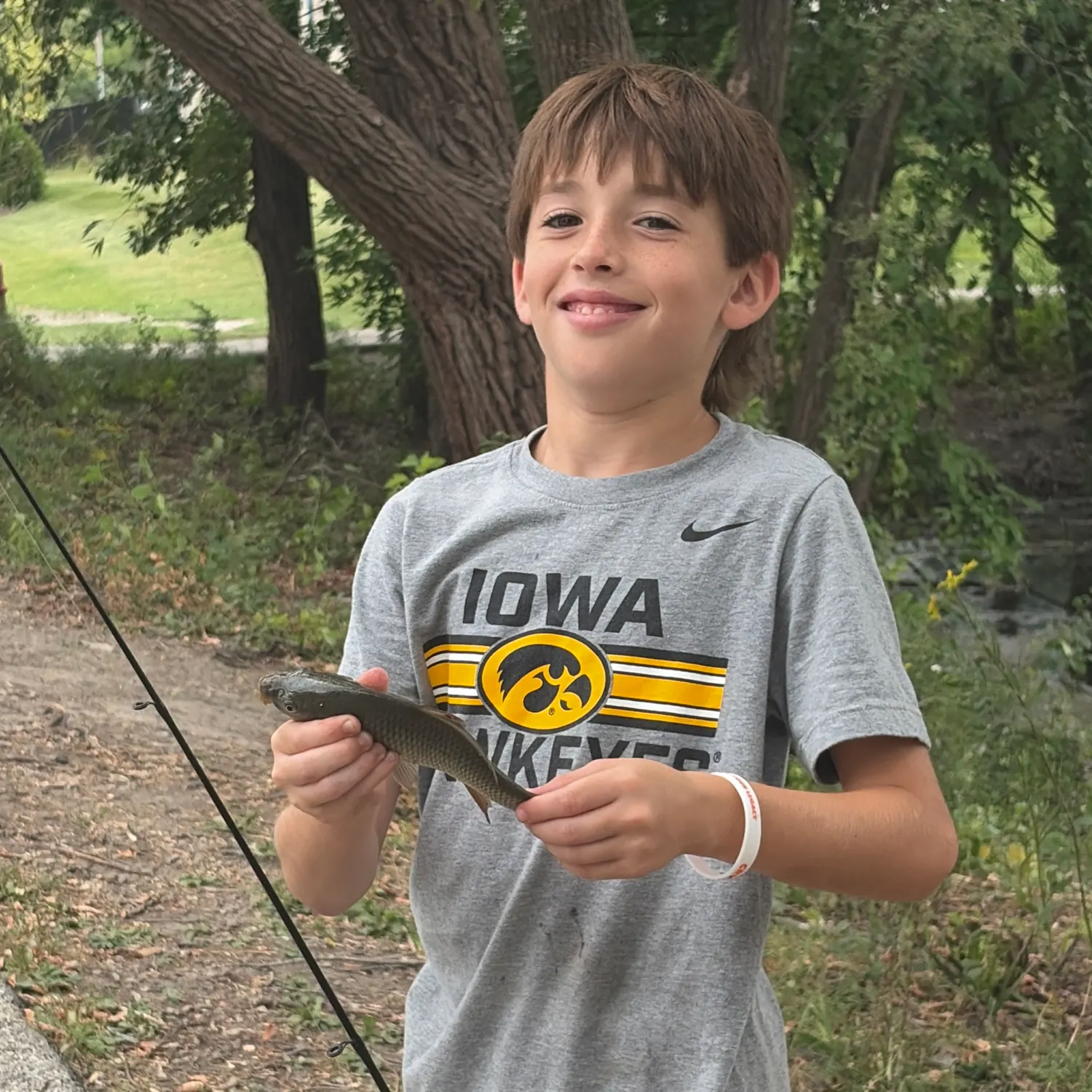Common carp caught on Fishbrain