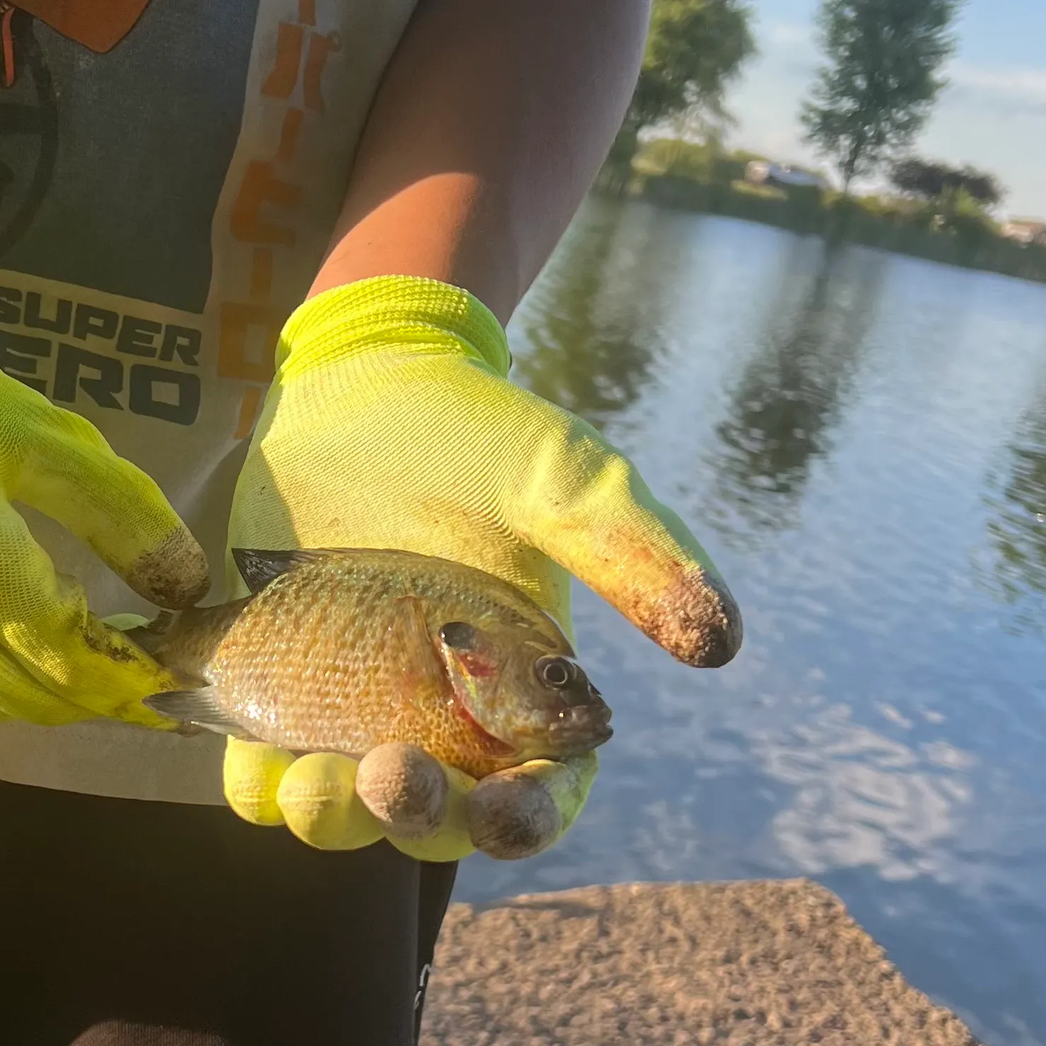 catch