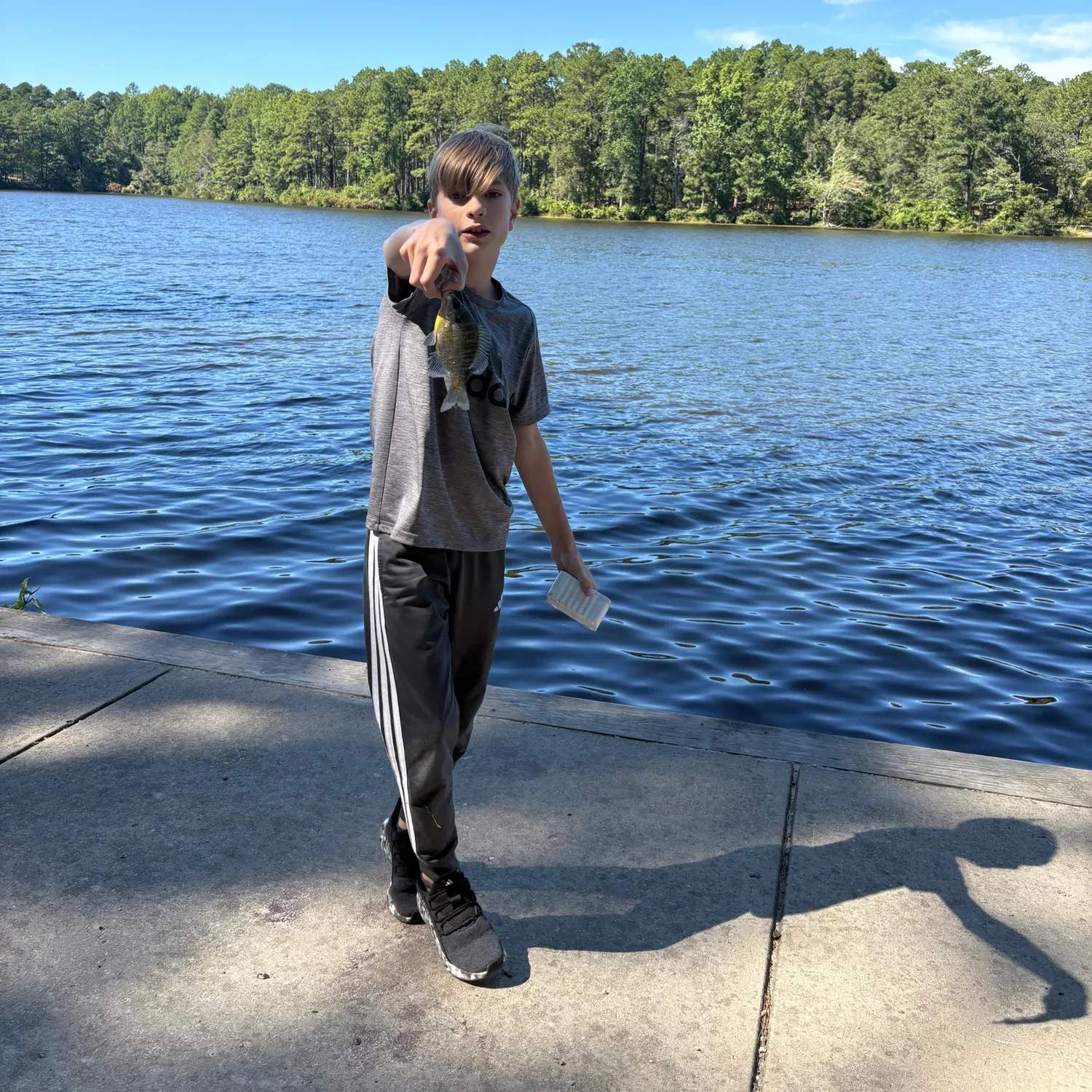 Bluegill caught on Fishbrain
