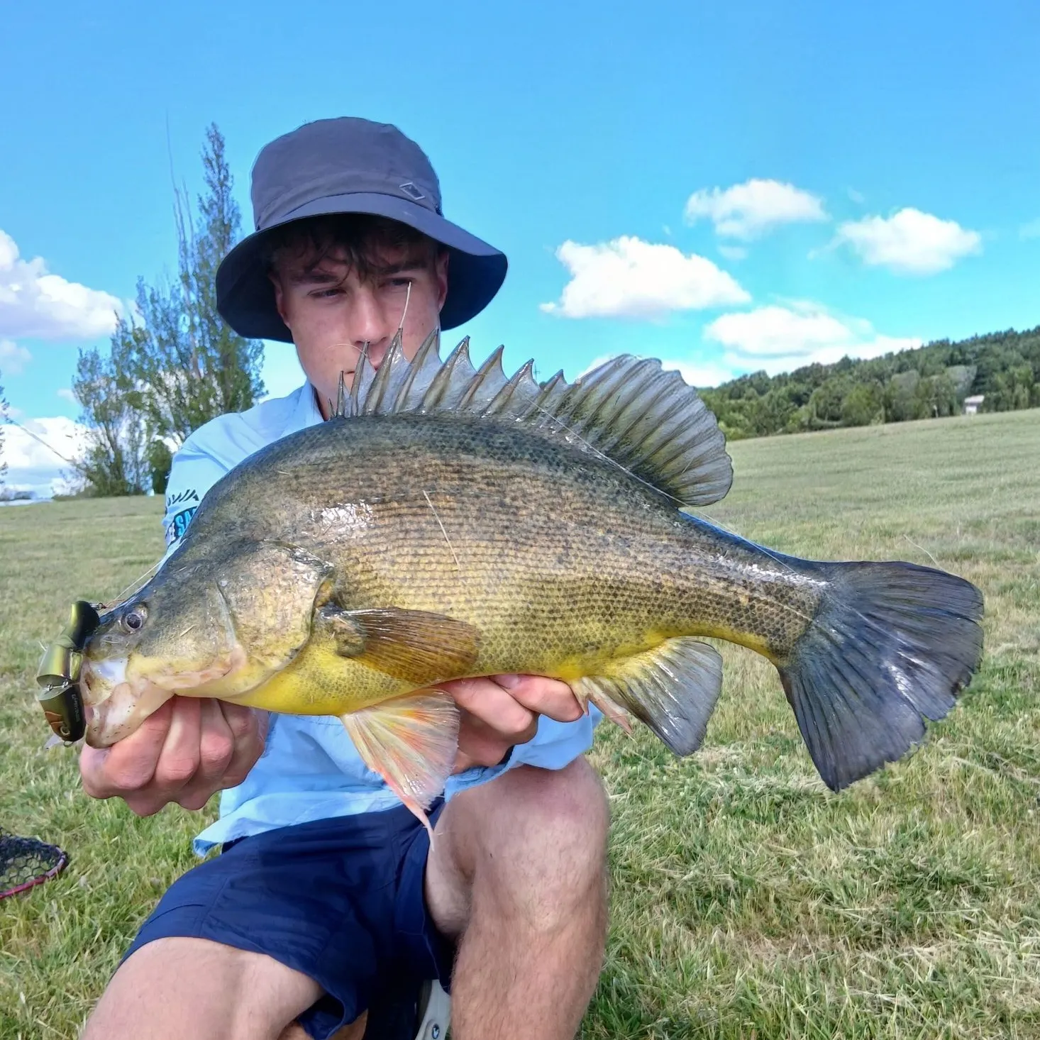 The most recent Golden perch catches on Fishbrain
