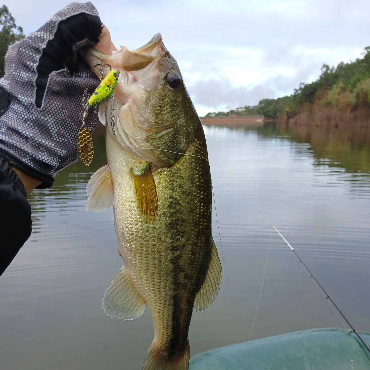 Largemouth bass caught on Fishbrain