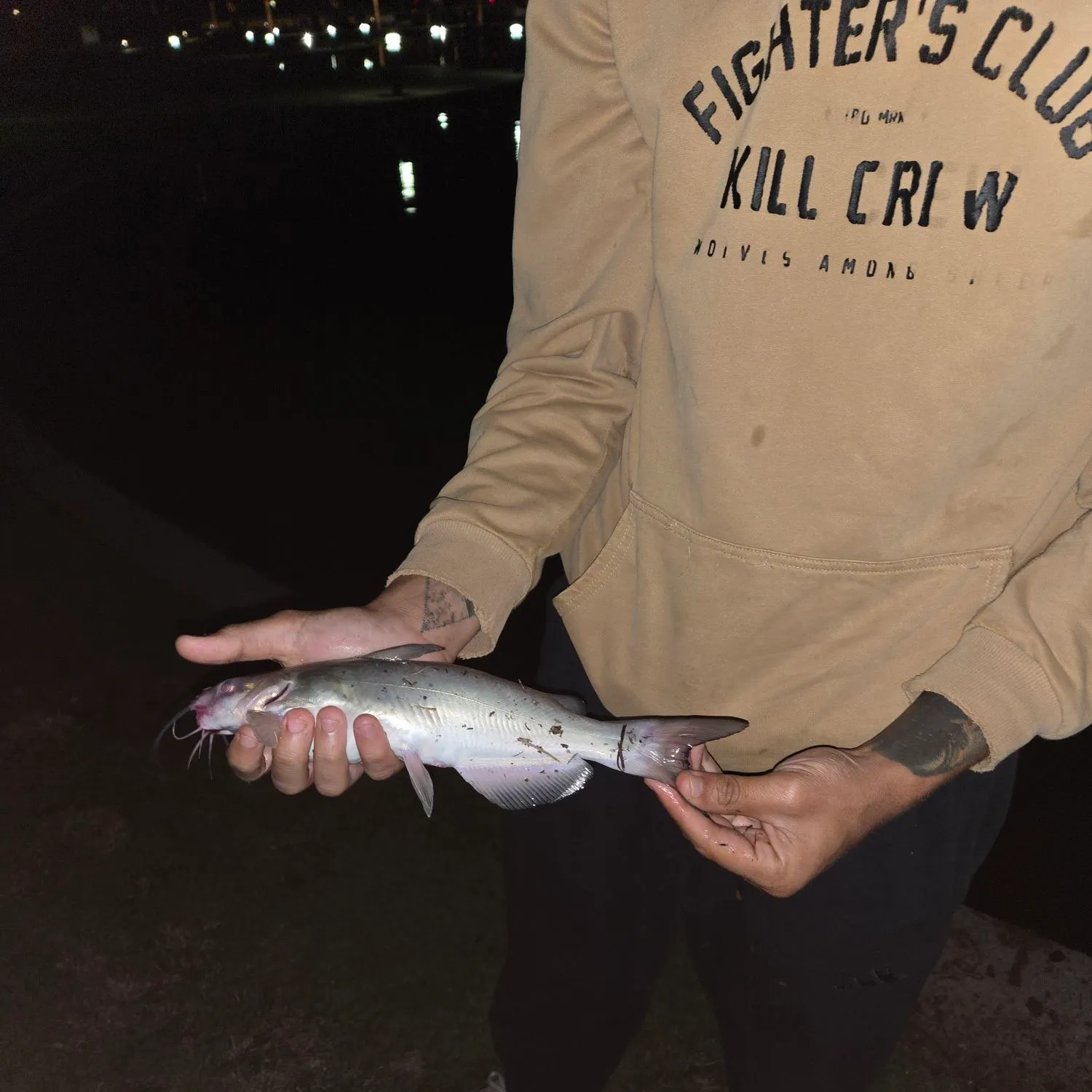 Channel catfish caught on Fishbrain