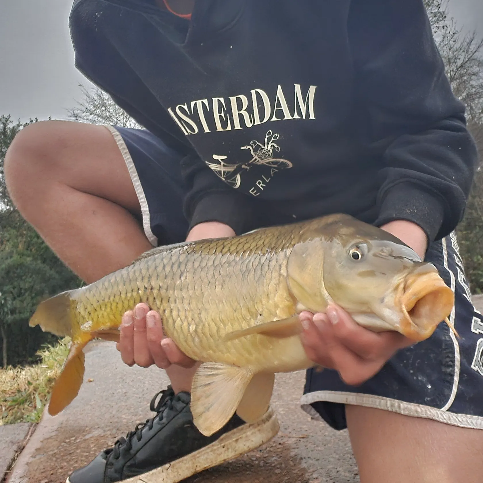 catch
