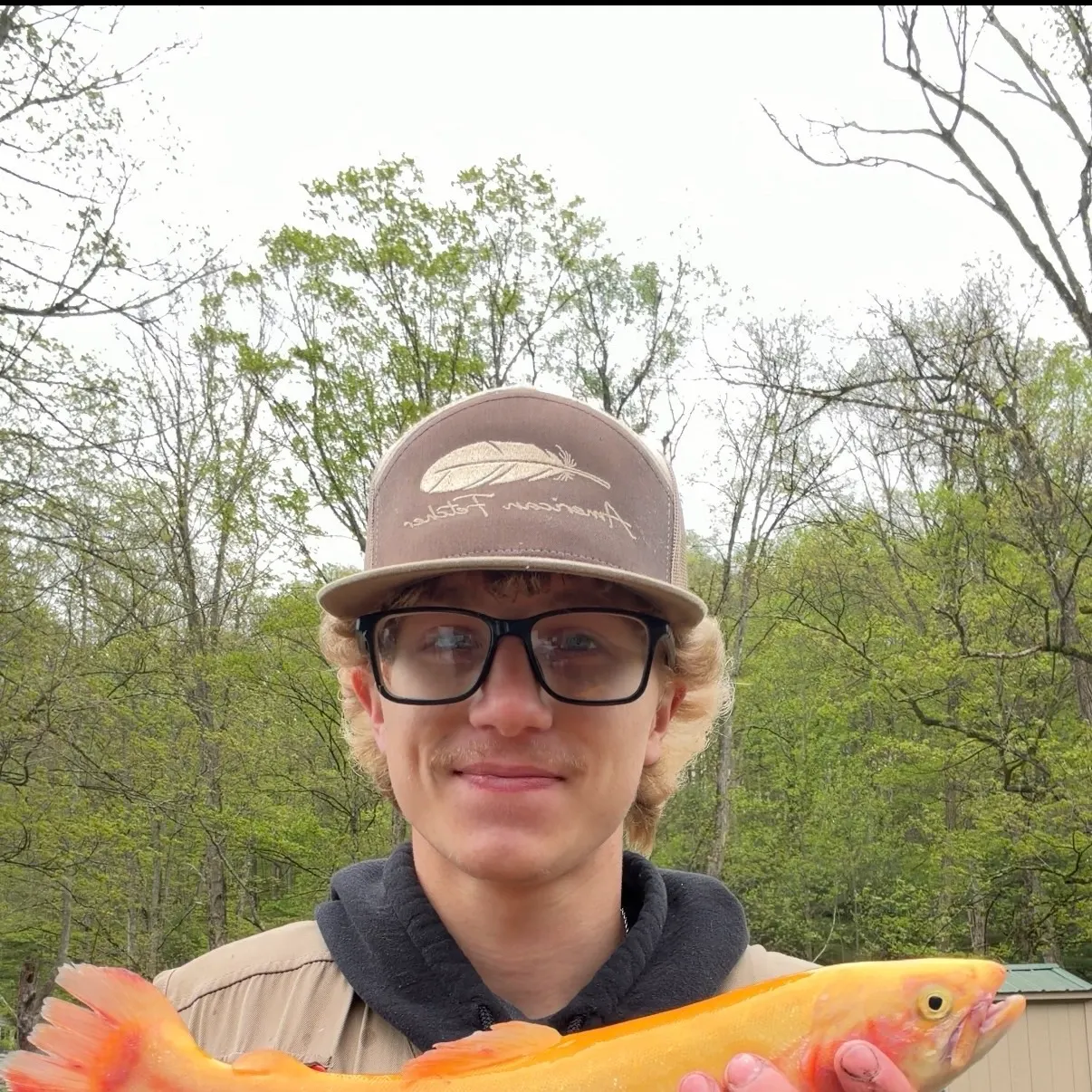 The most recent Golden rainbow trout catches on Fishbrain