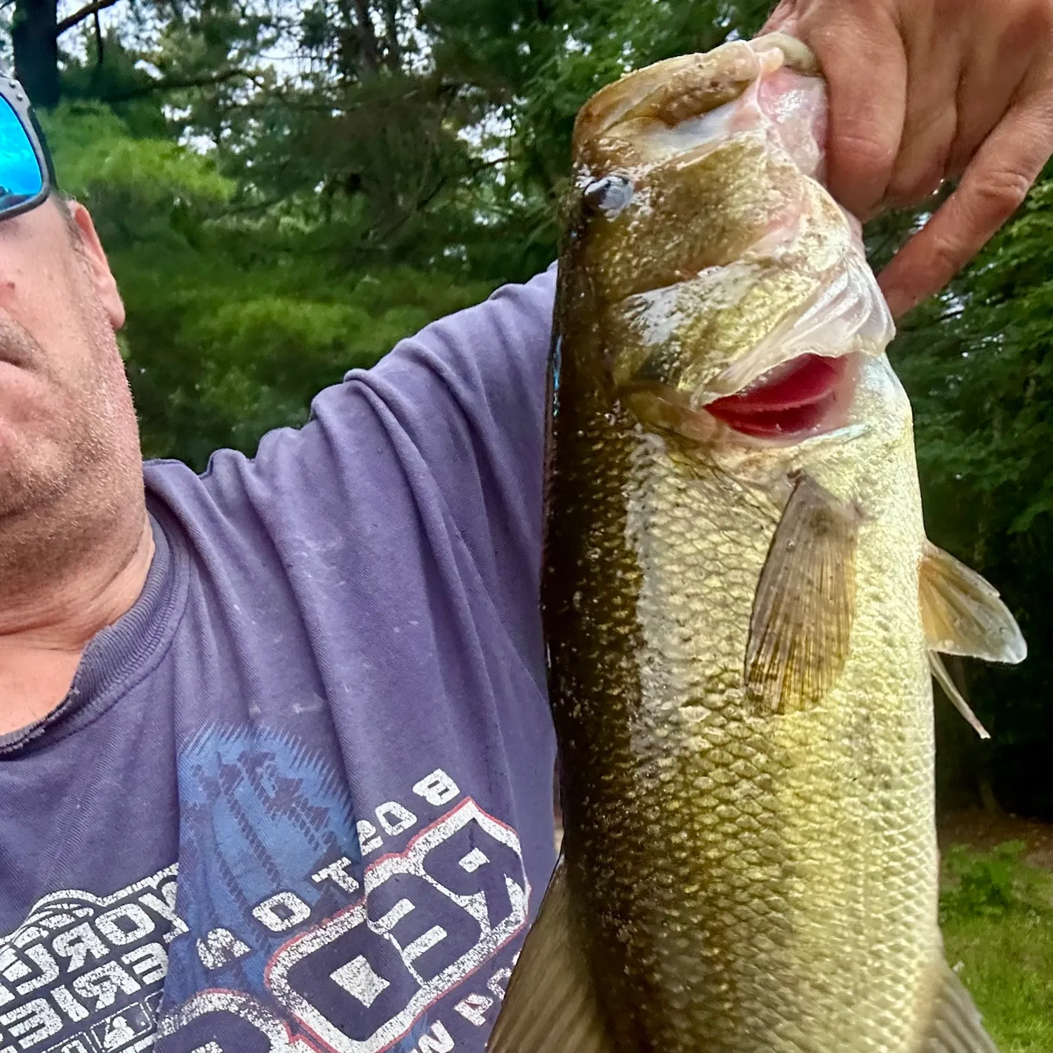 Largemouth bass caught on Fishbrain