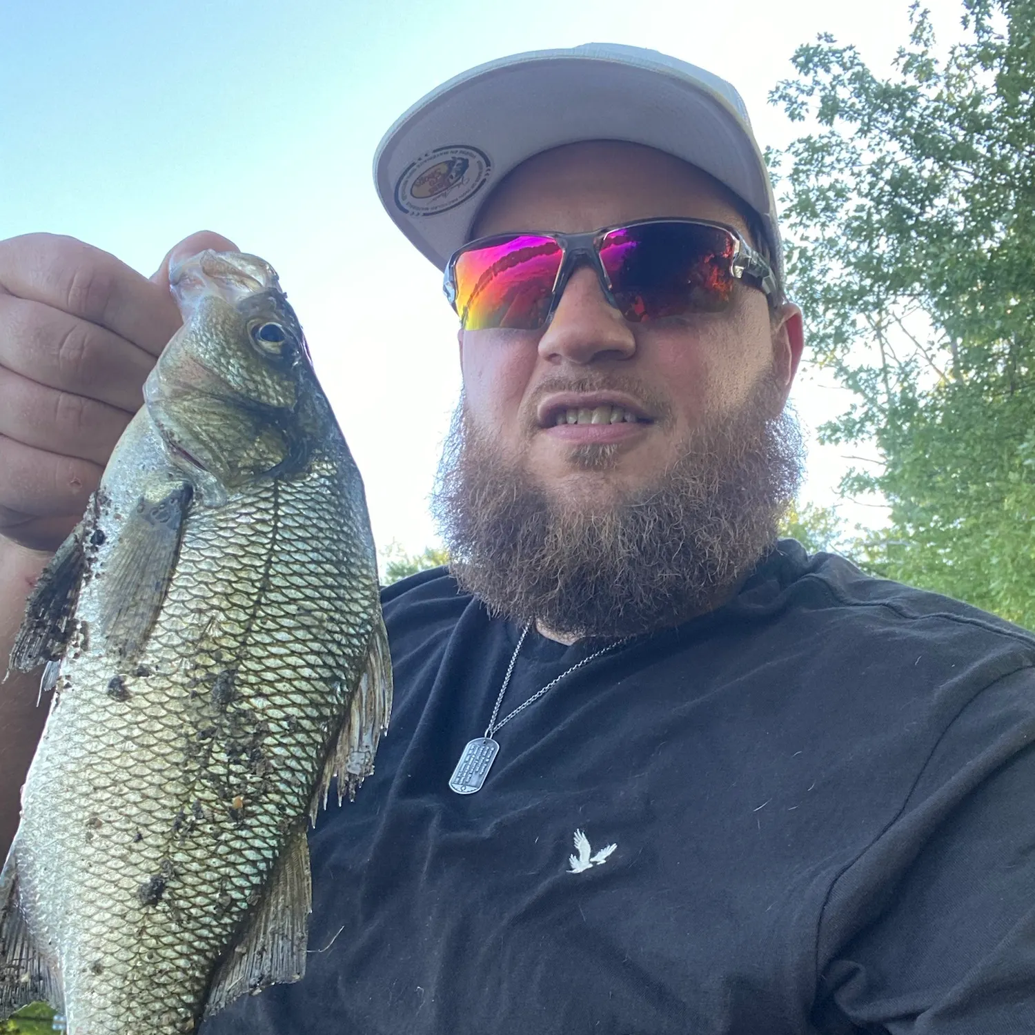 White perch caught on Fishbrain