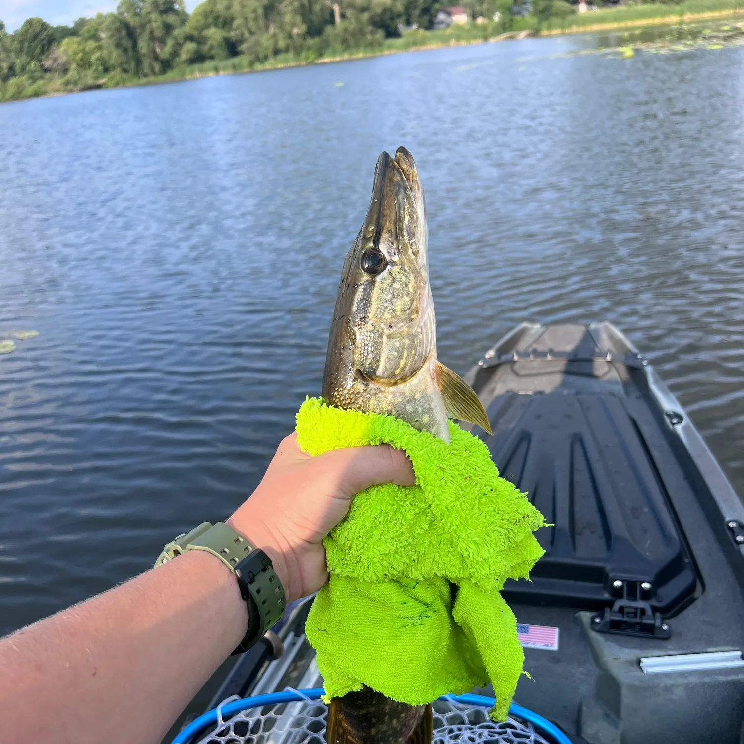 catch
