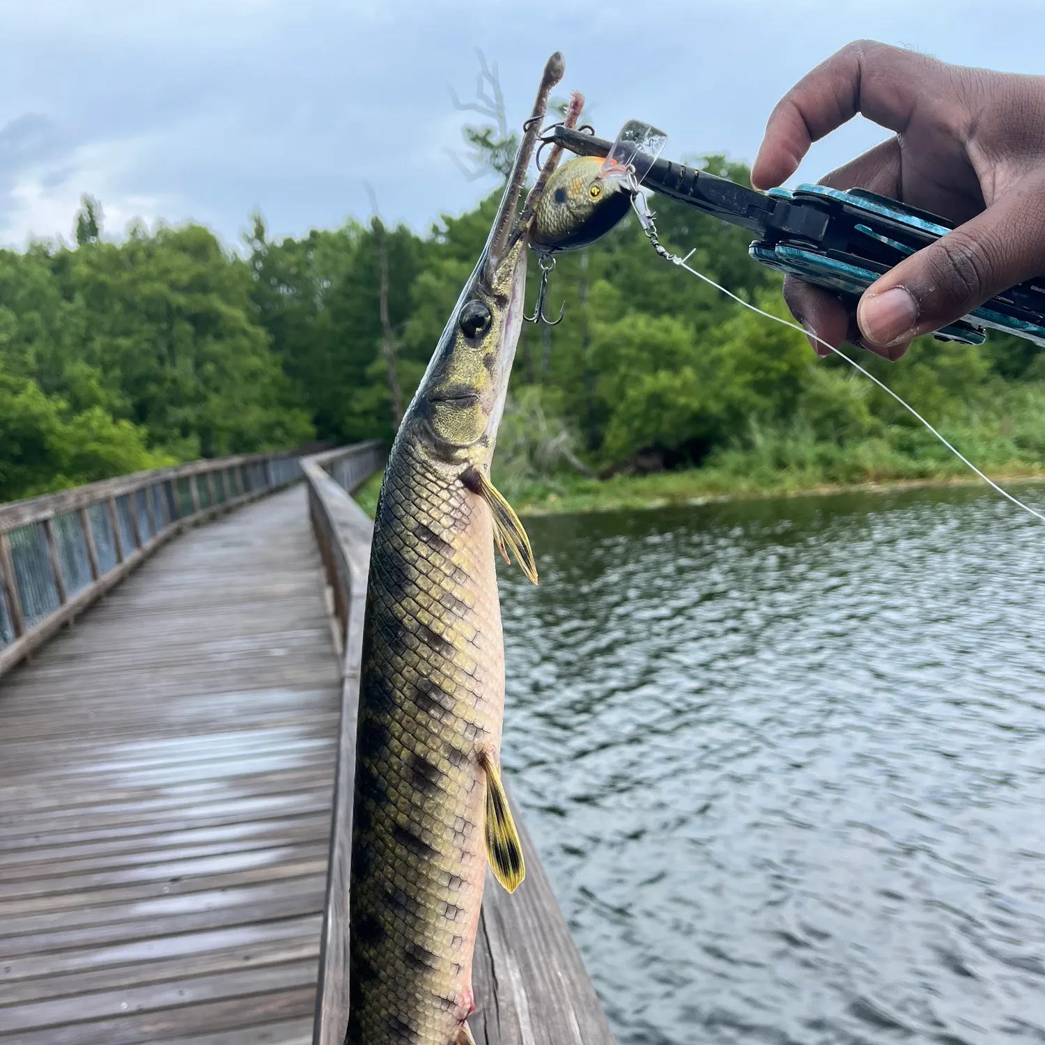 catch