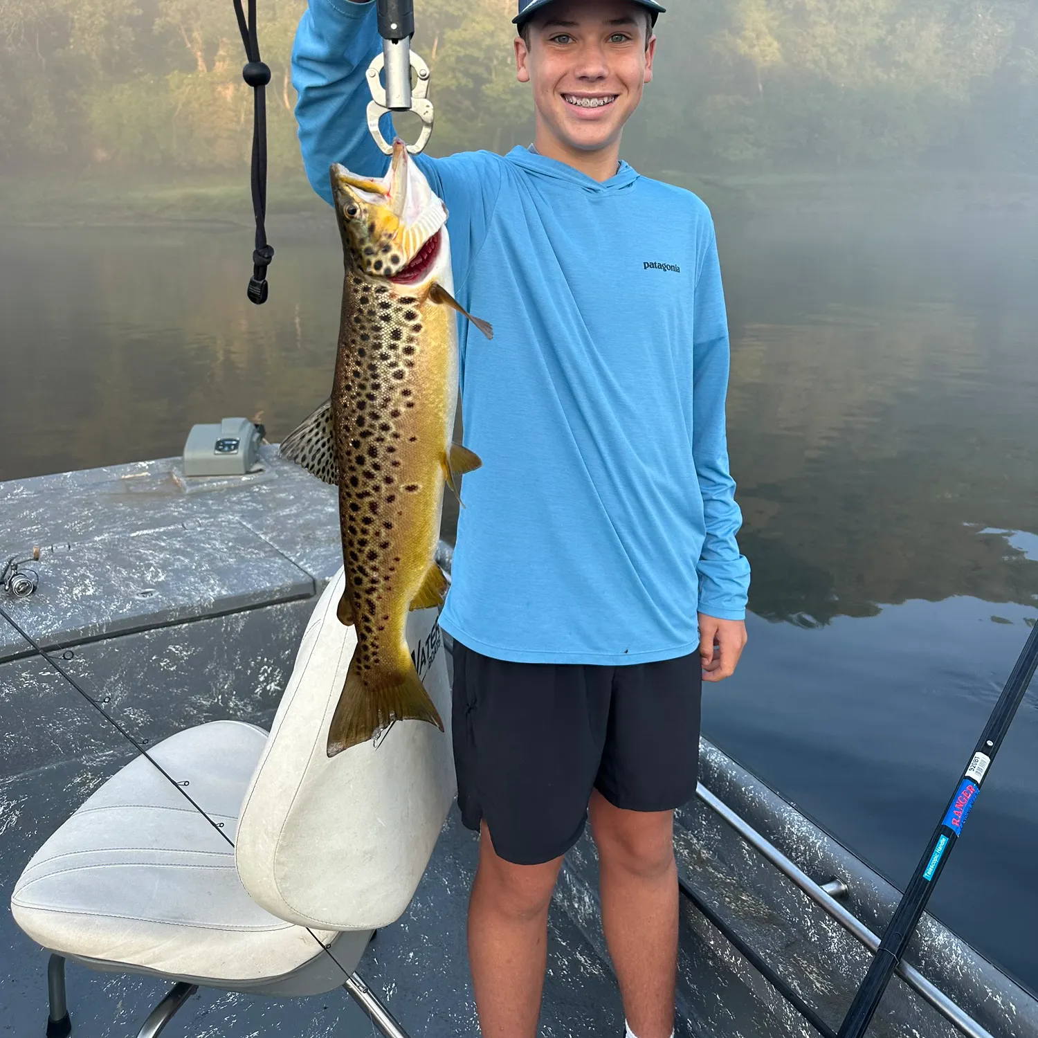 Brown trout caught on Fishbrain