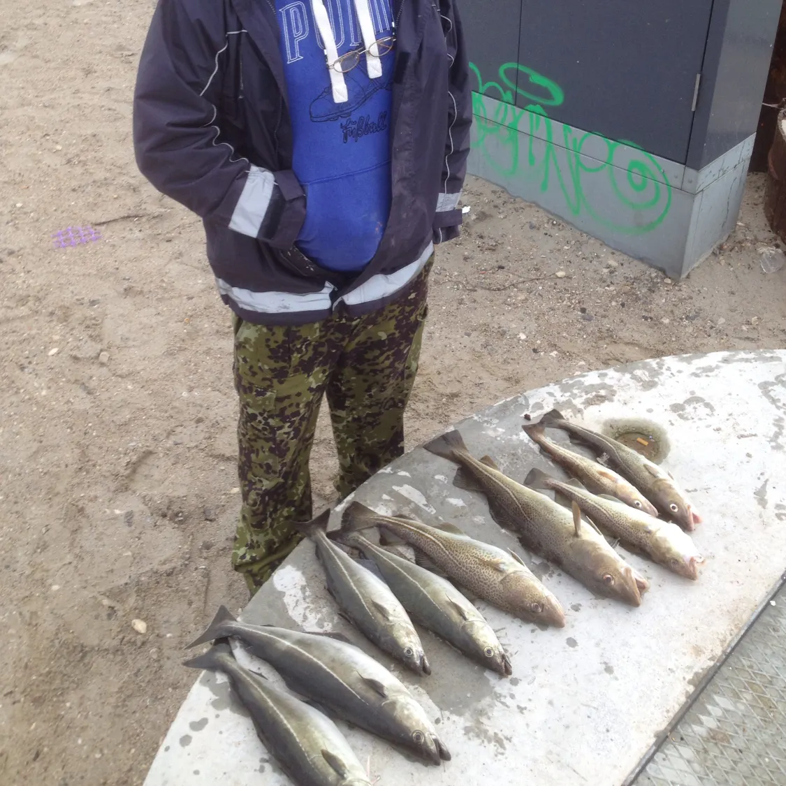 recently logged catches