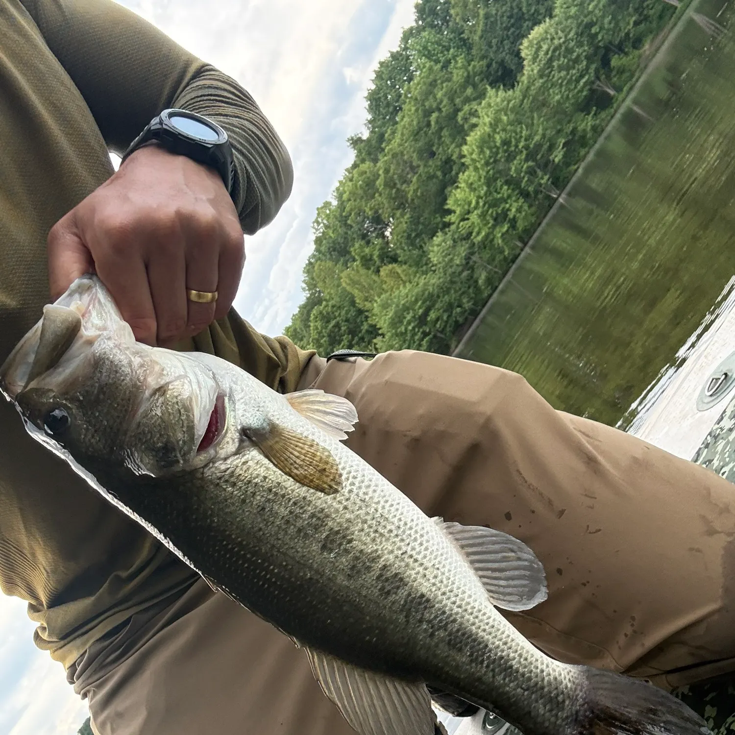 catch