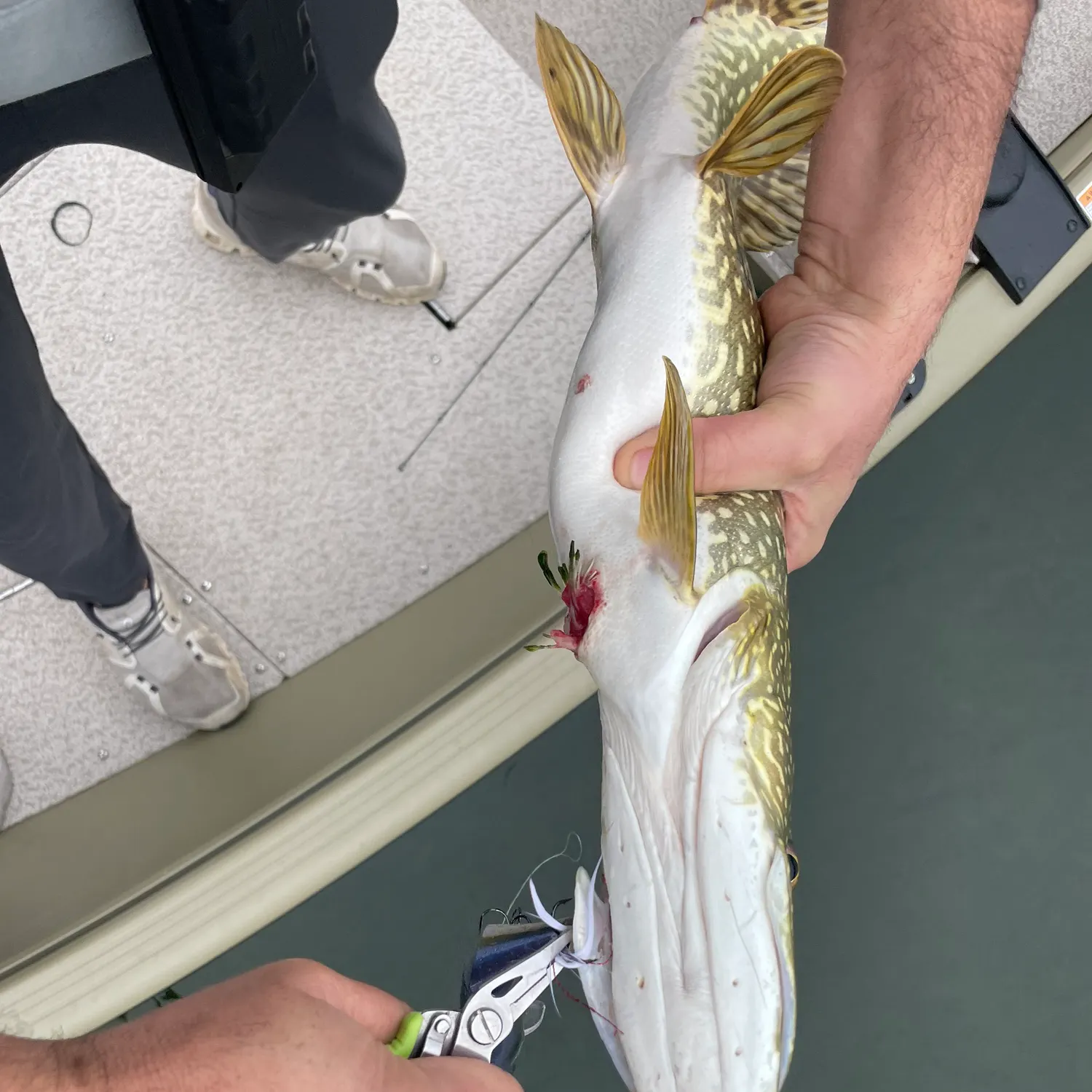 catch