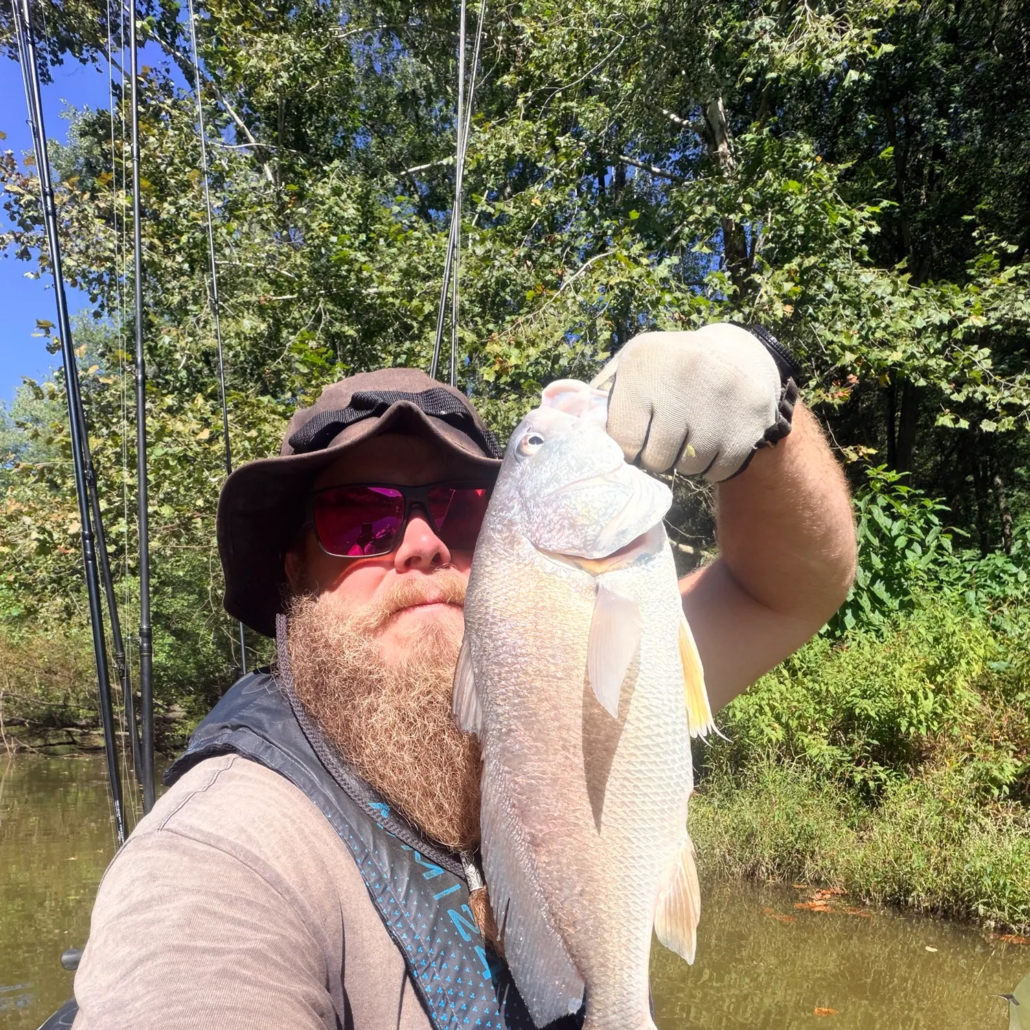 Freshwater drum caught on Fishbrain