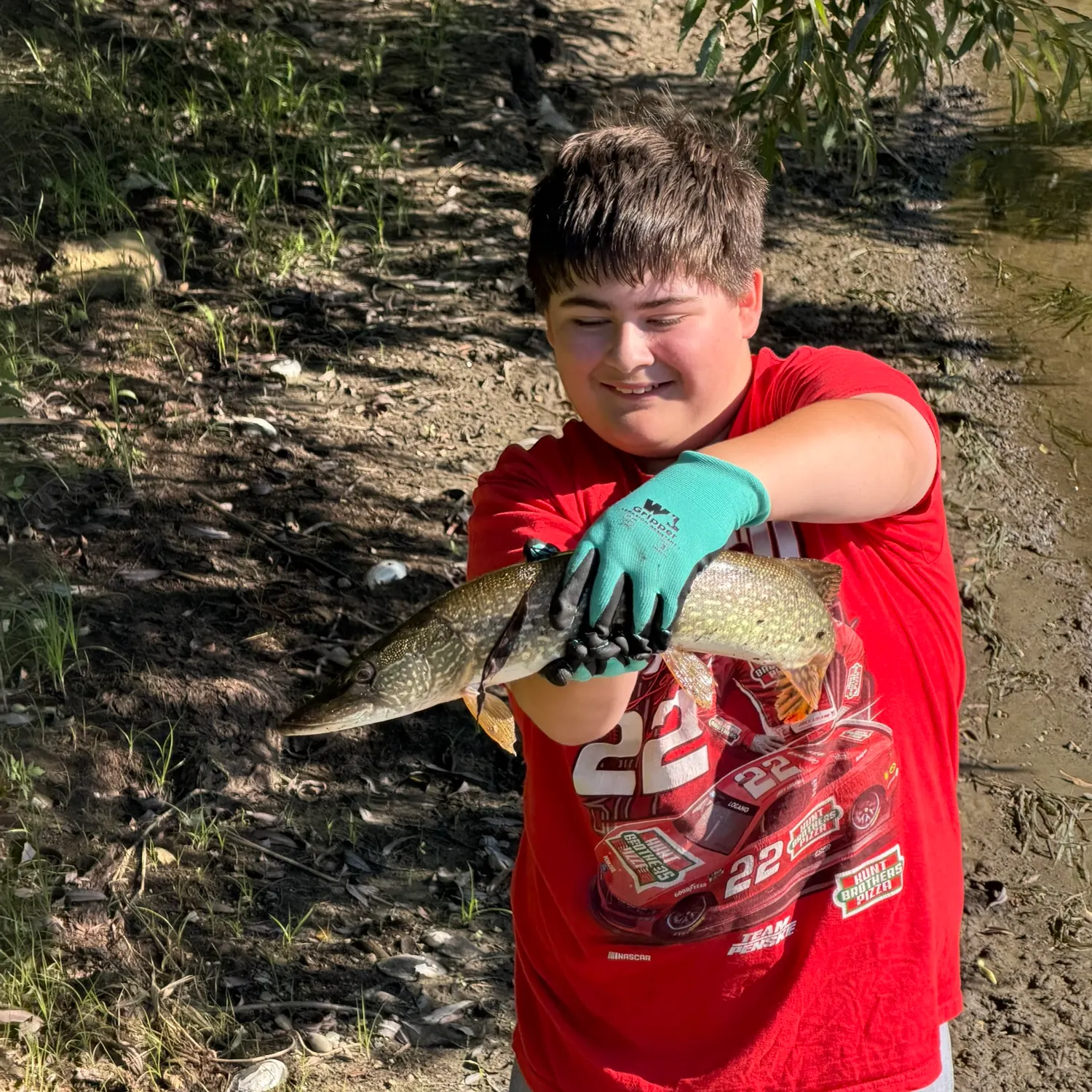 Northern pike caught on Fishbrain