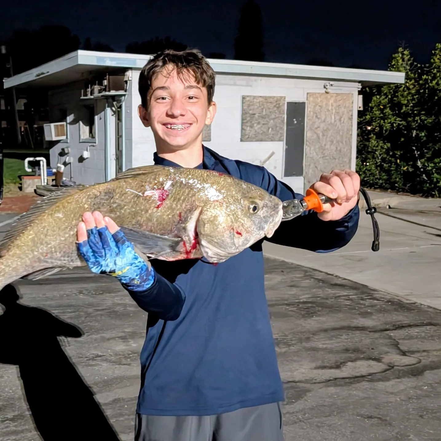 Black drum caught on Fishbrain