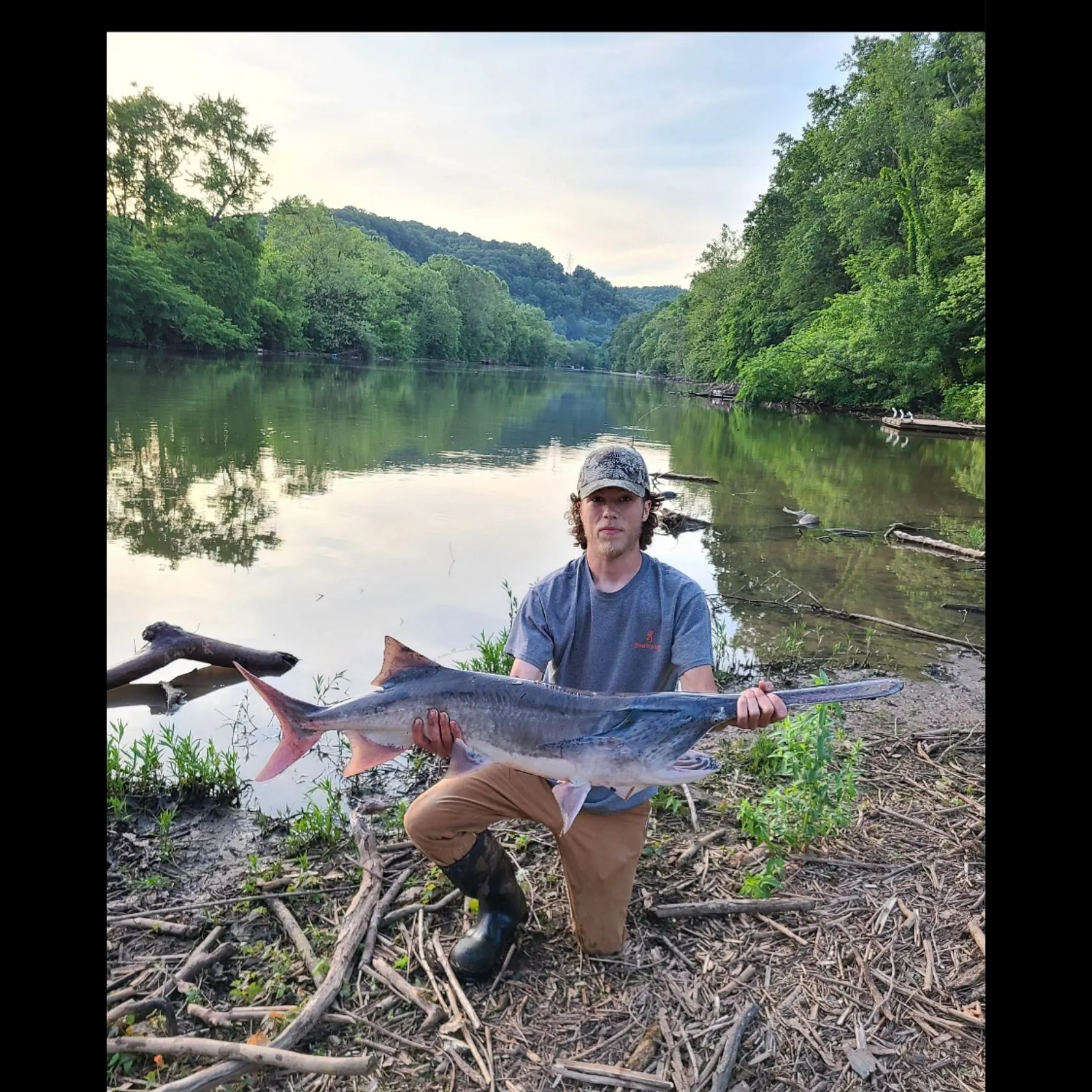 most liked catch image