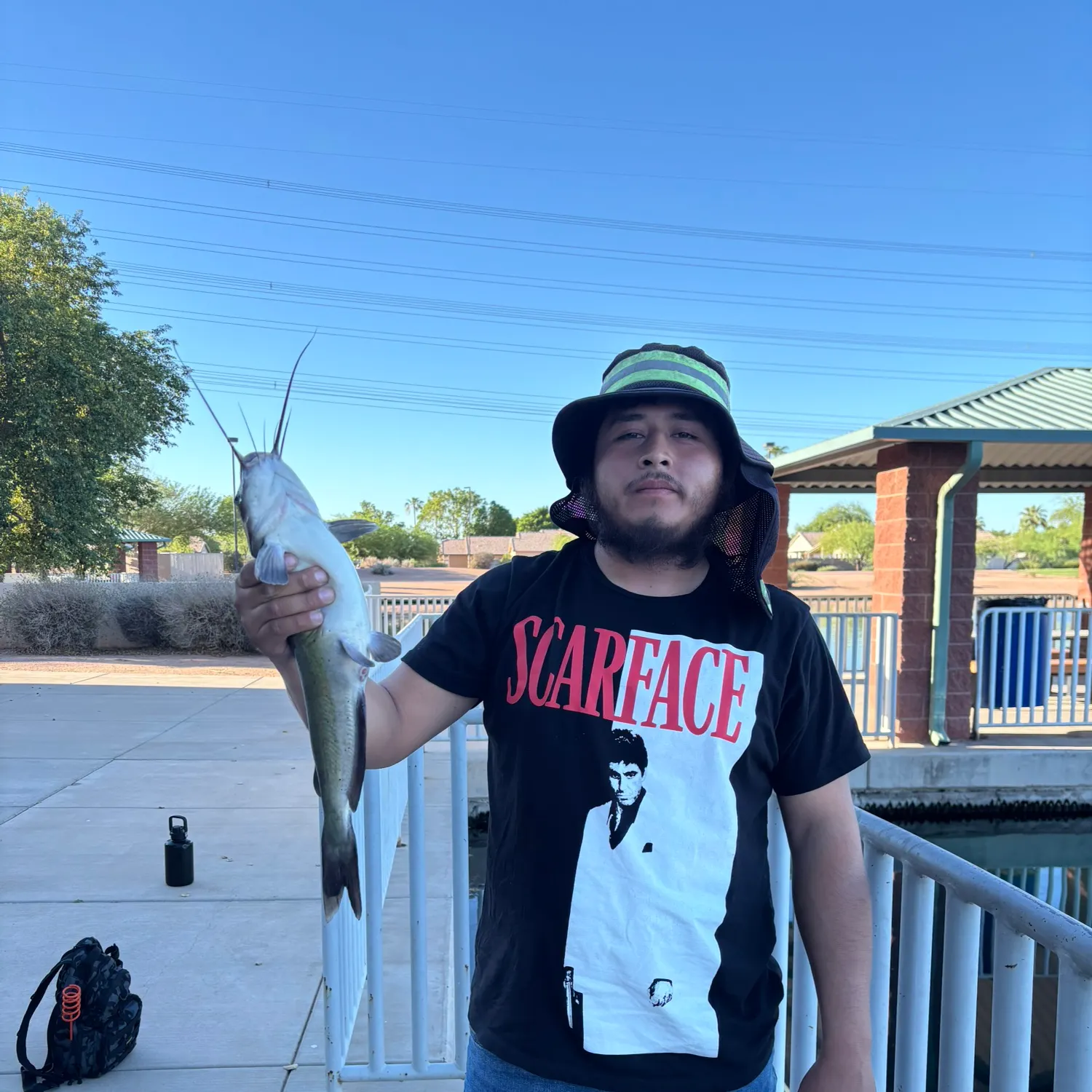 Channel catfish caught on Fishbrain