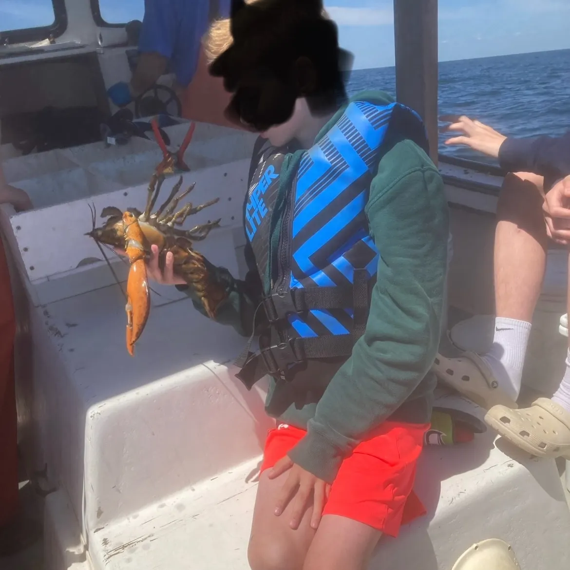 The most recent American lobster catches on Fishbrain
