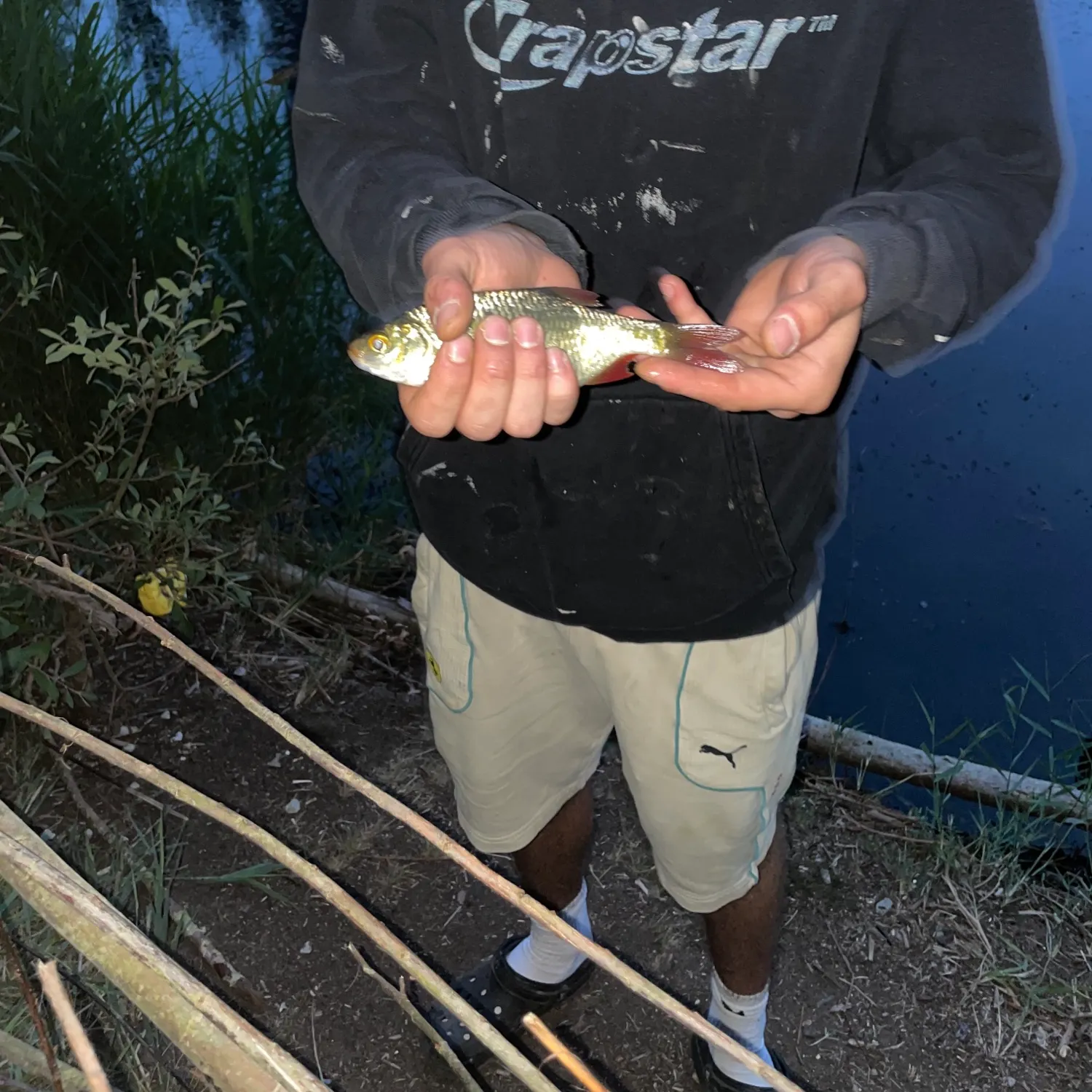 Common rudd caught on Fishbrain