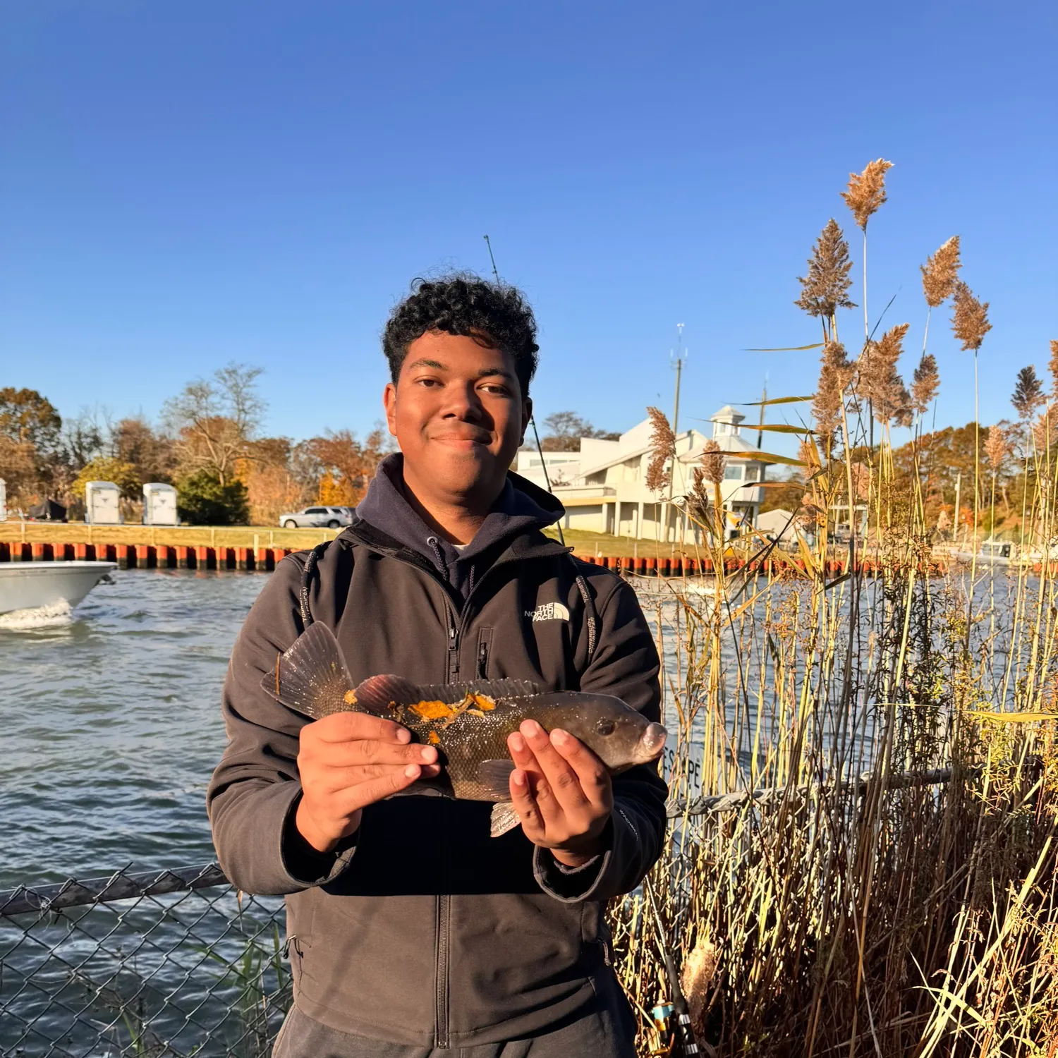 The most recent Tautog catches on Fishbrain