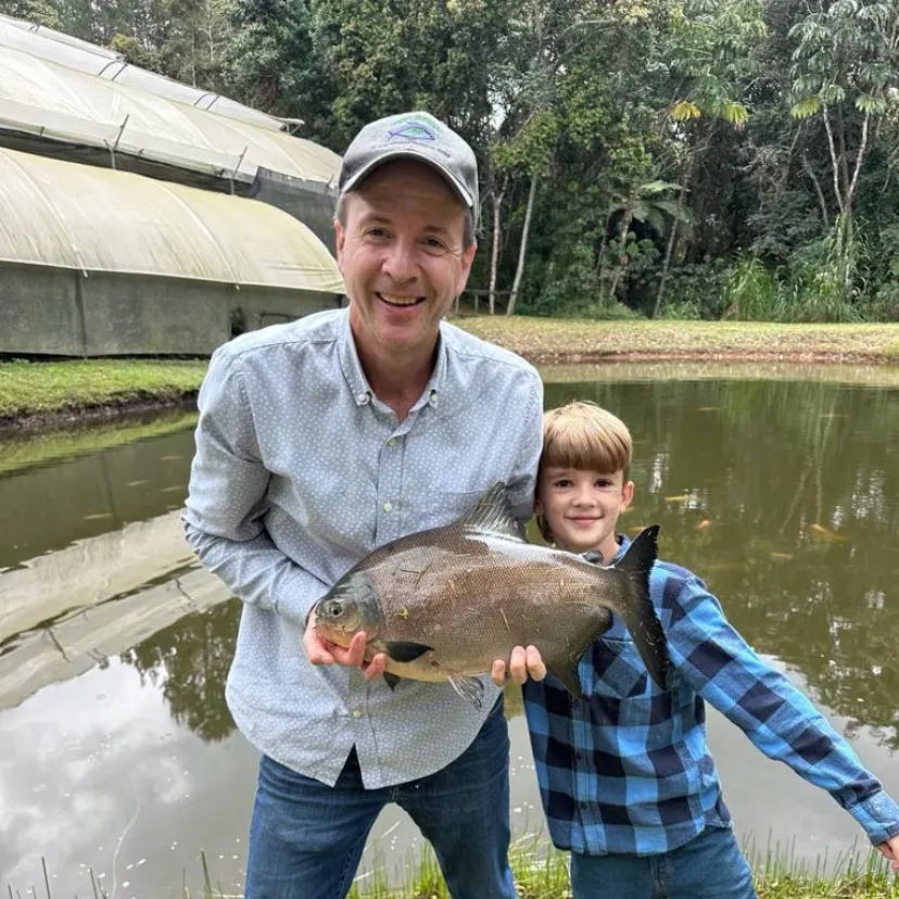 The most recent Black pacu catches on Fishbrain