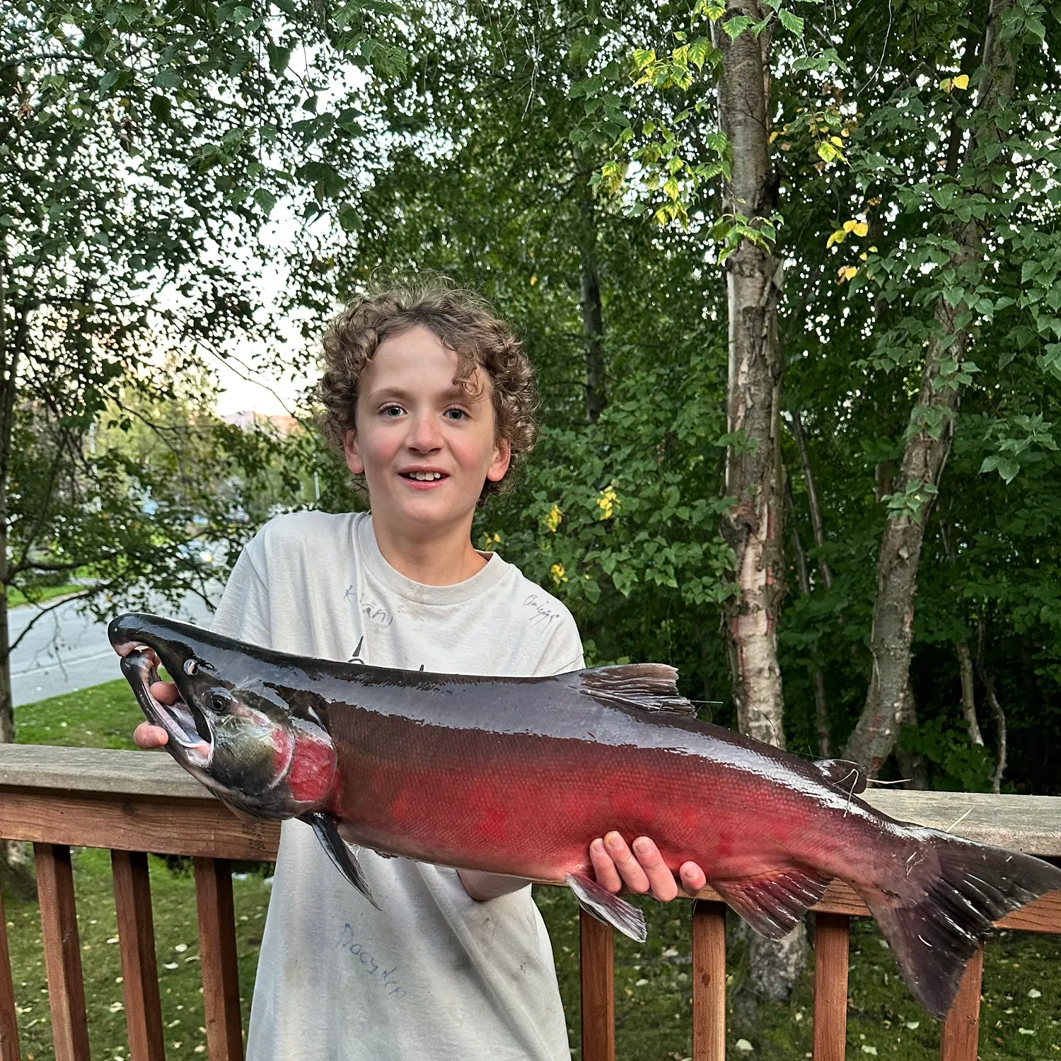 The most recent Coho salmon catches on Fishbrain