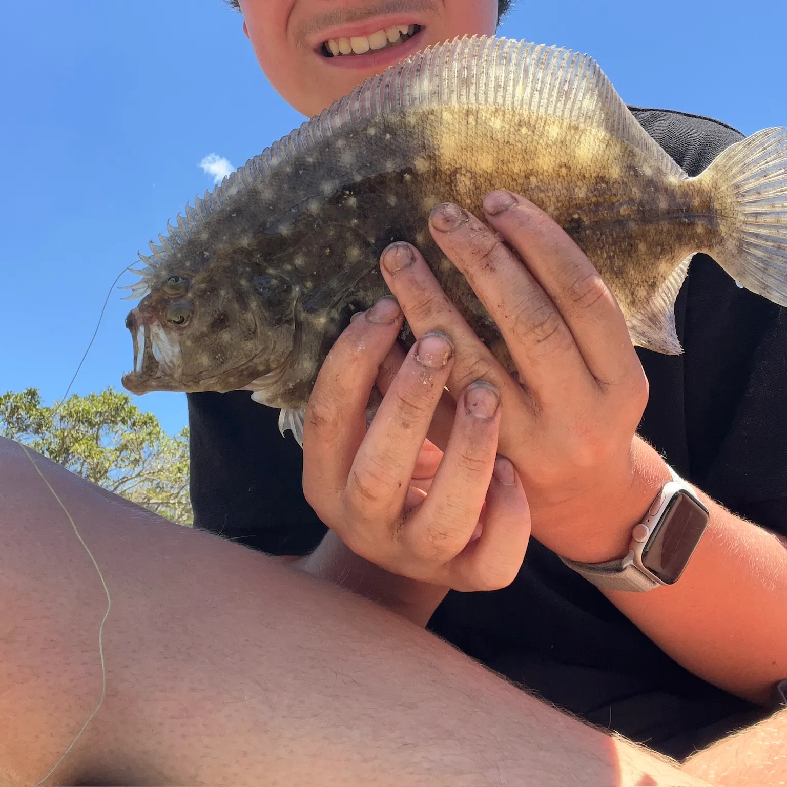 The most recent Yellowtail flounder catches on Fishbrain