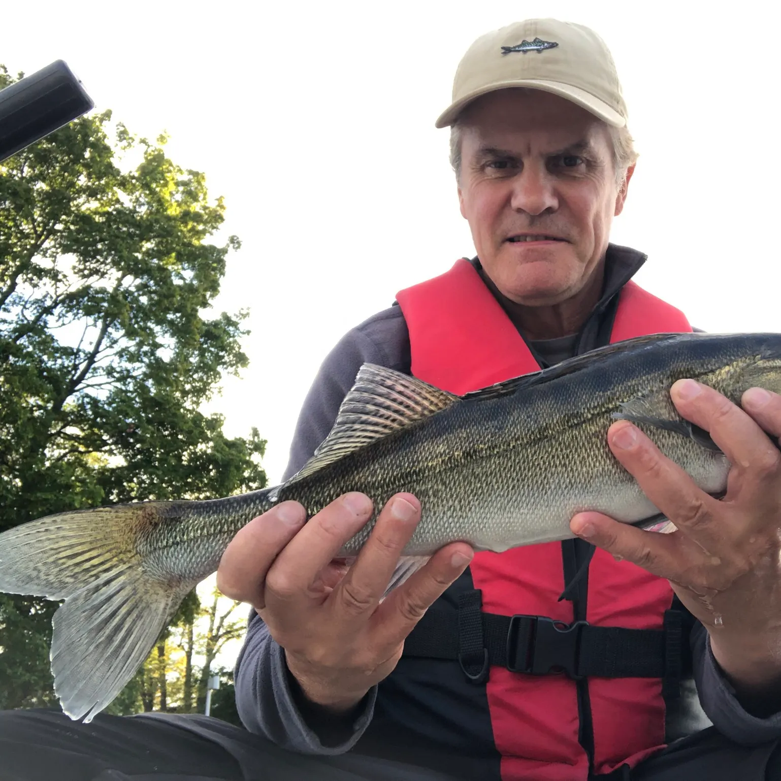 Zander caught on Fishbrain