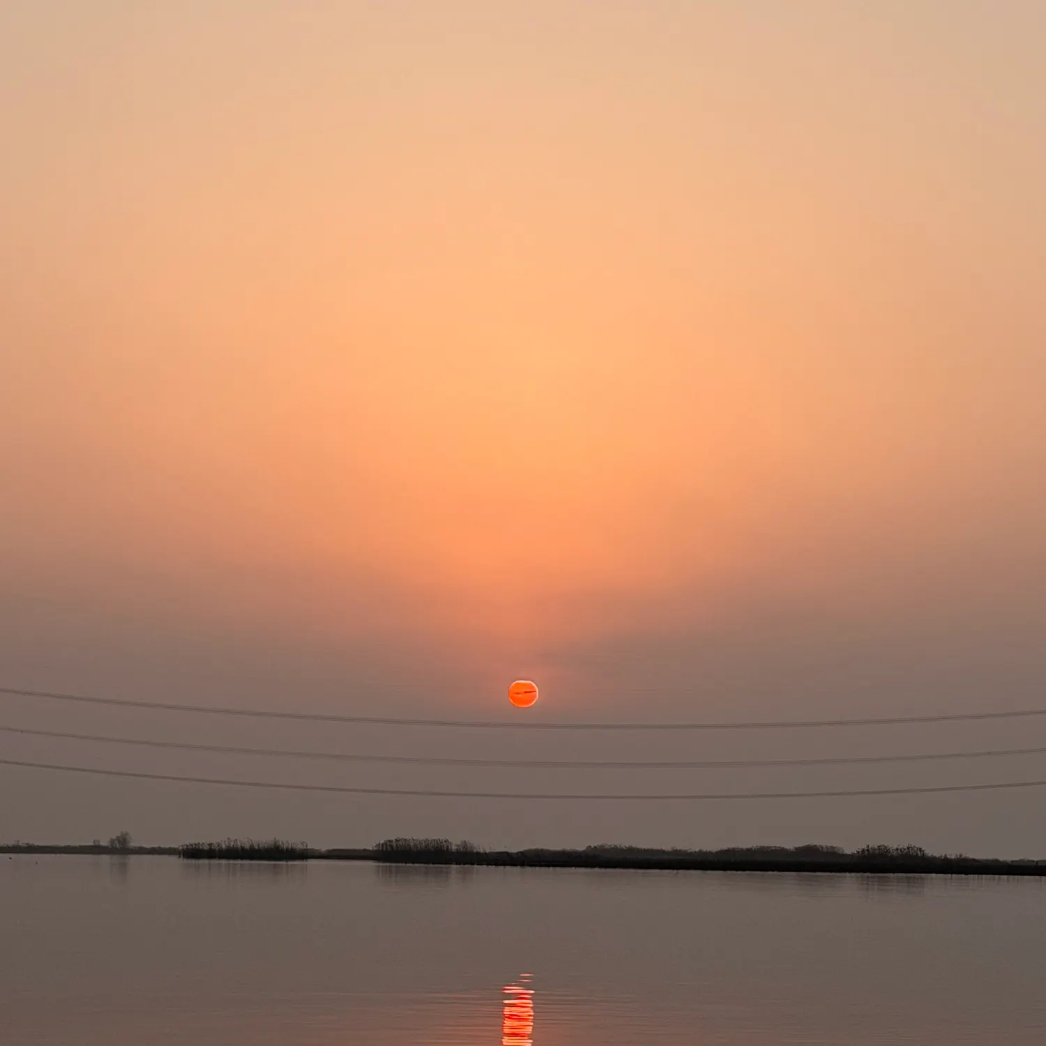 The most recent Predatory carp catches on Fishbrain