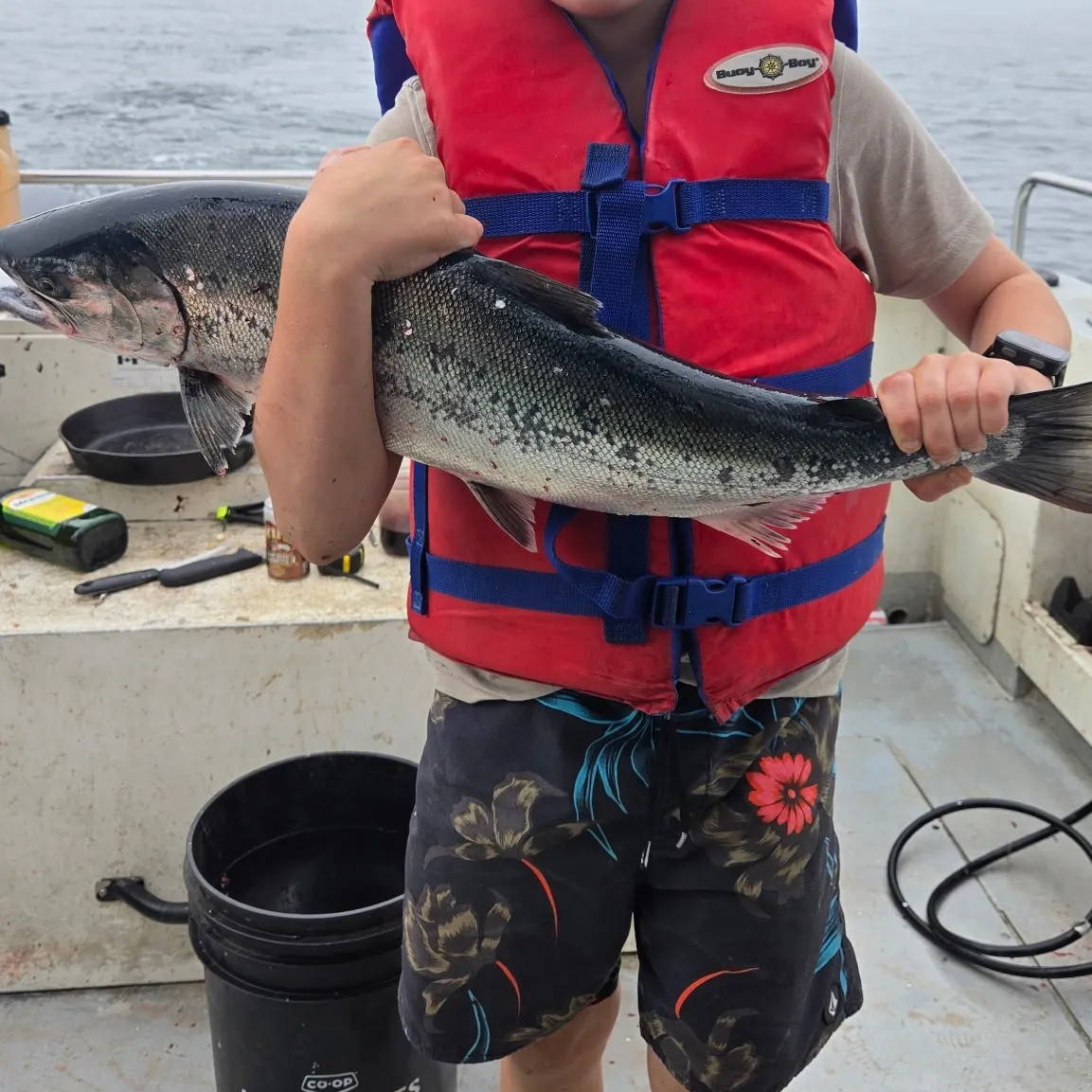 Coho salmon caught on Fishbrain