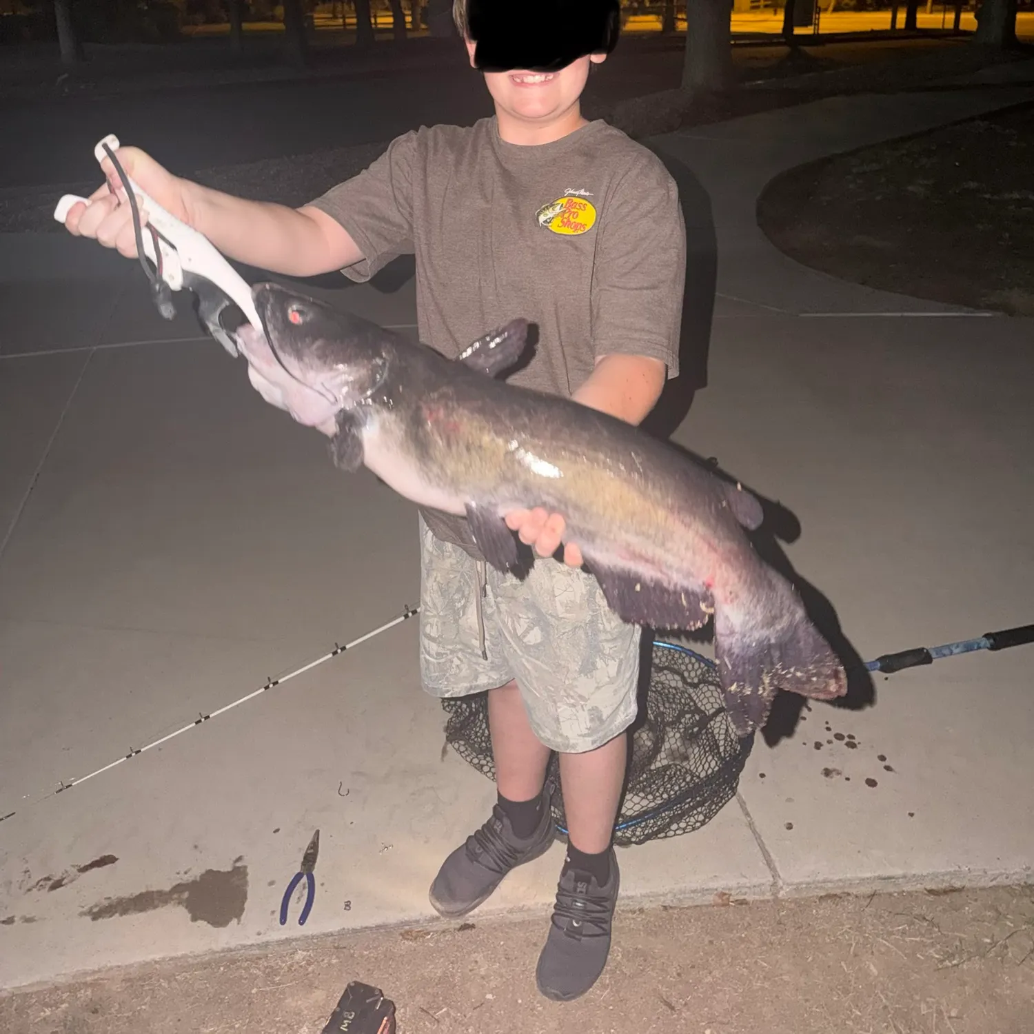 Channel catfish caught on Fishbrain