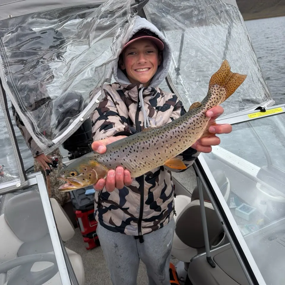 Cutthroat trout caught on Fishbrain