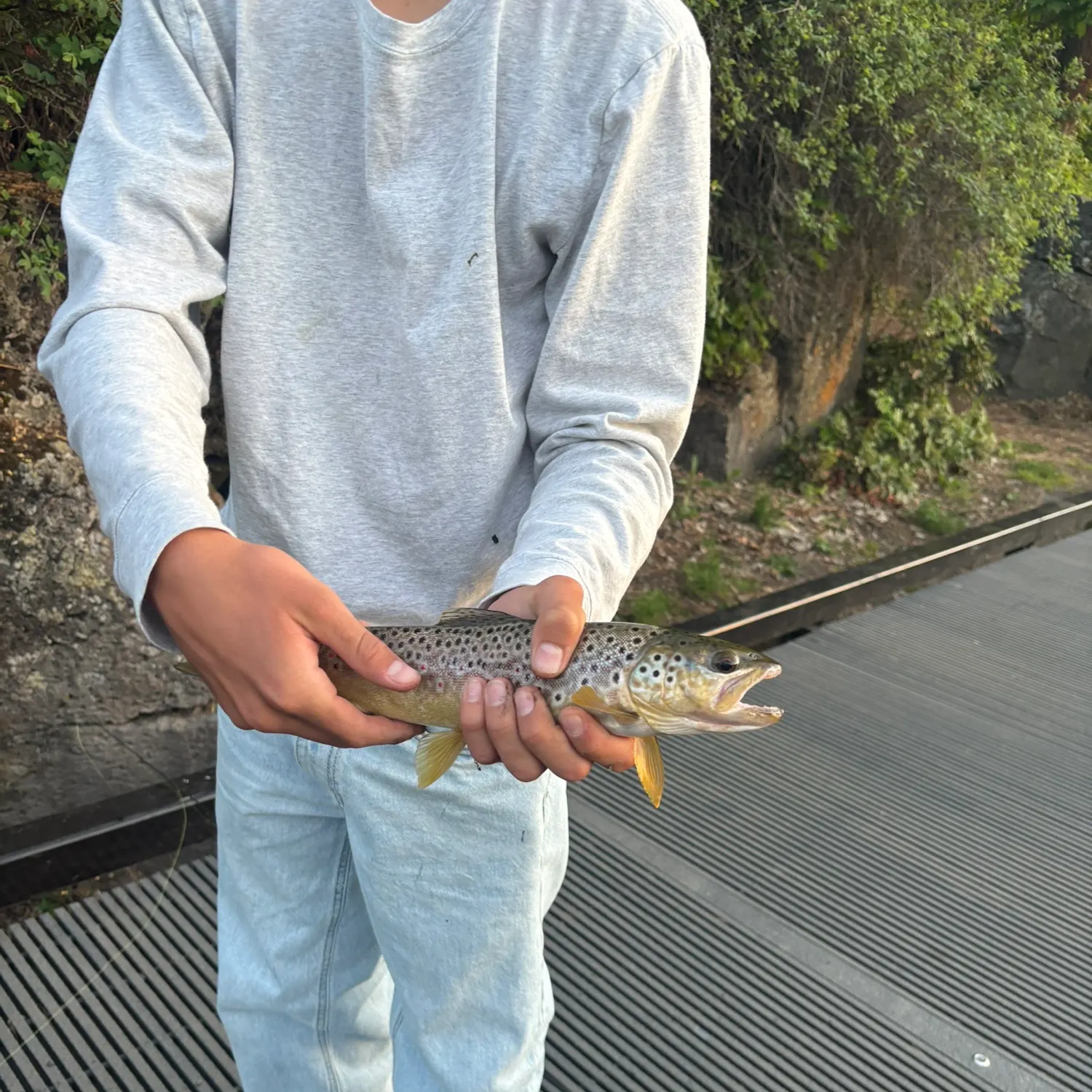 catch