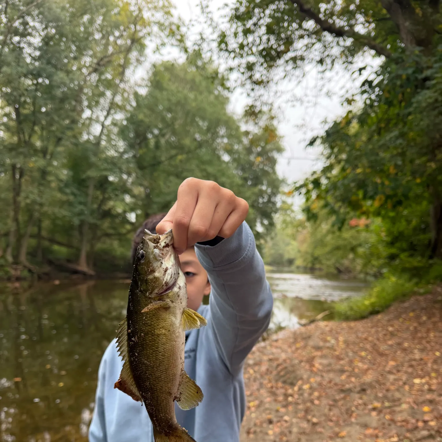 Smallmouth bass caught on Fishbrain