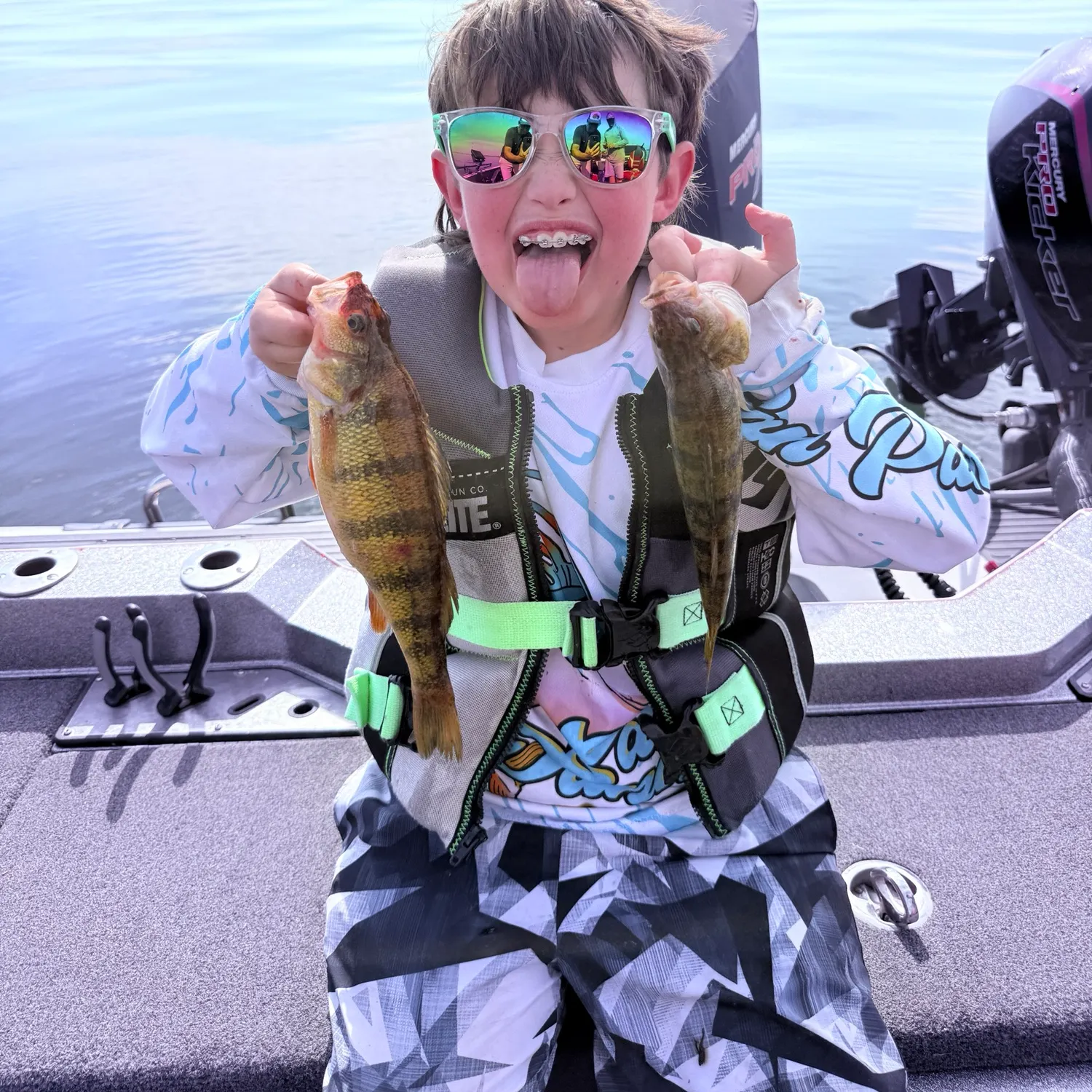 Yellow perch caught on Fishbrain
