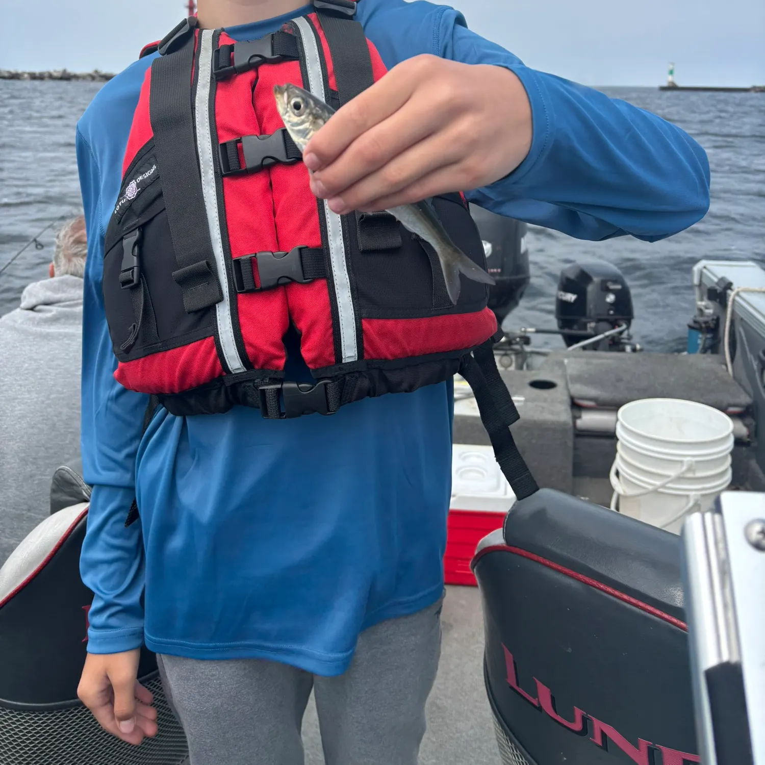 The most recent Alewife catches on Fishbrain