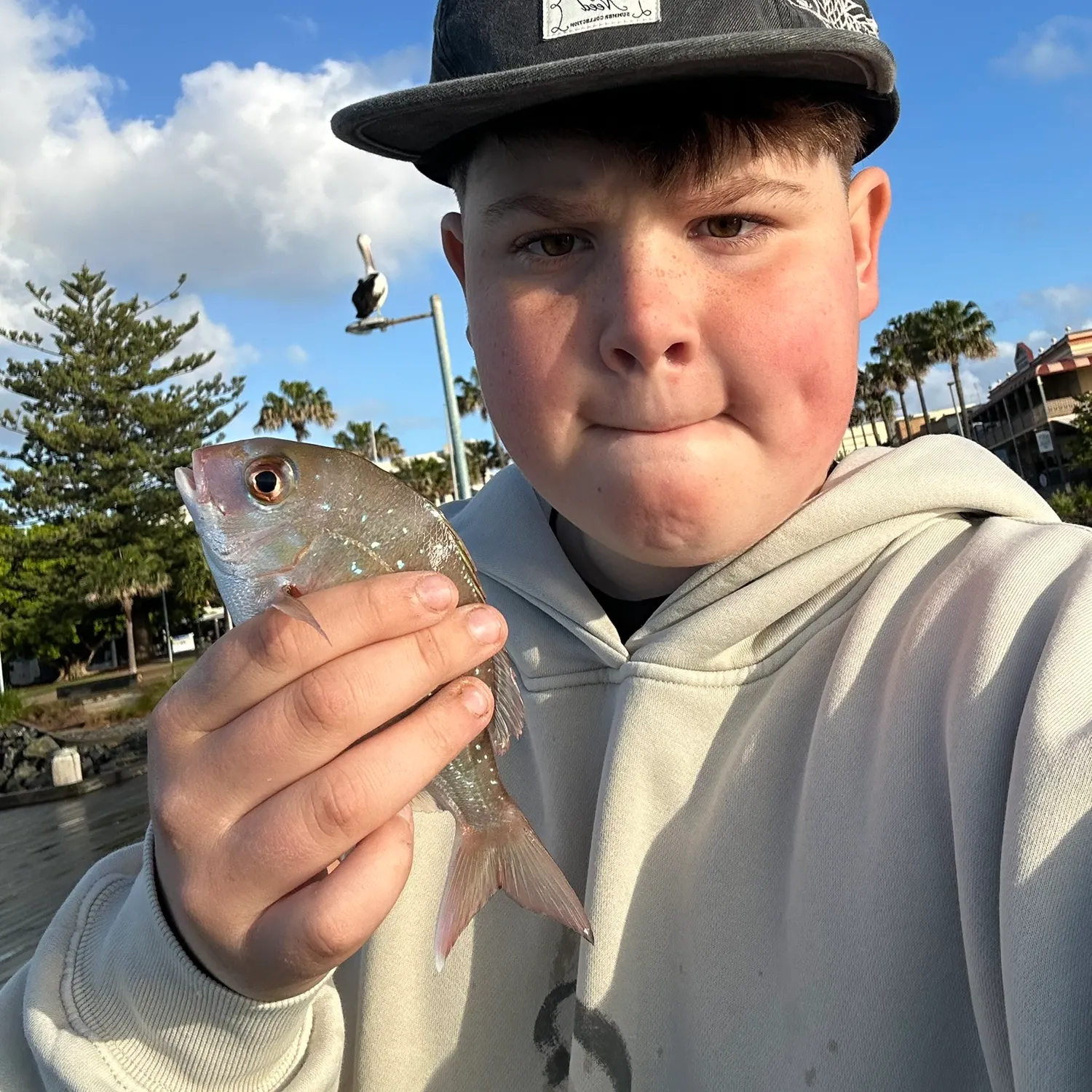 The most recent Australasian snapper catches on Fishbrain