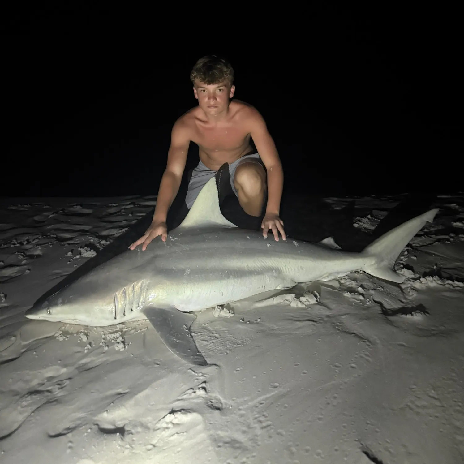 The most recent Blacktip shark catches on Fishbrain