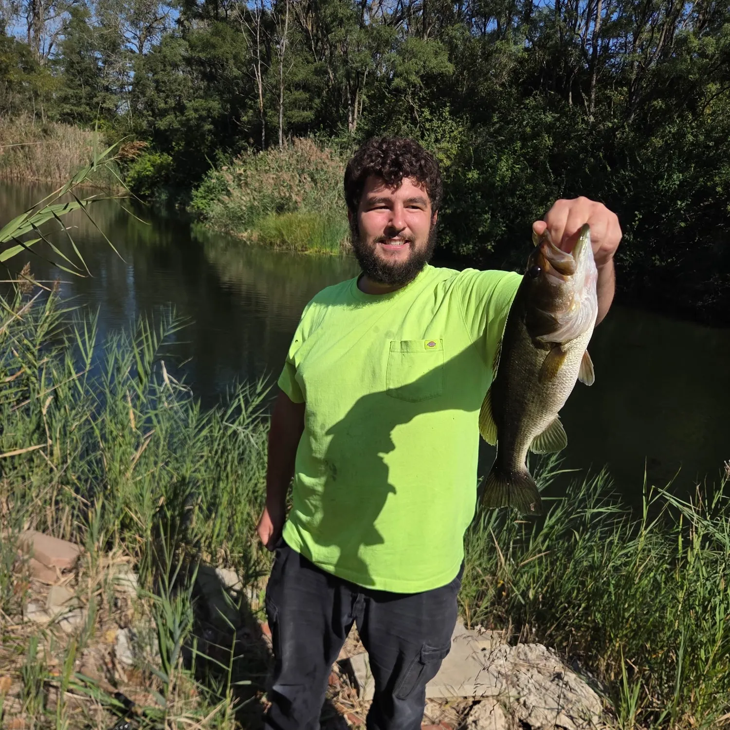 Largemouth bass caught on Fishbrain