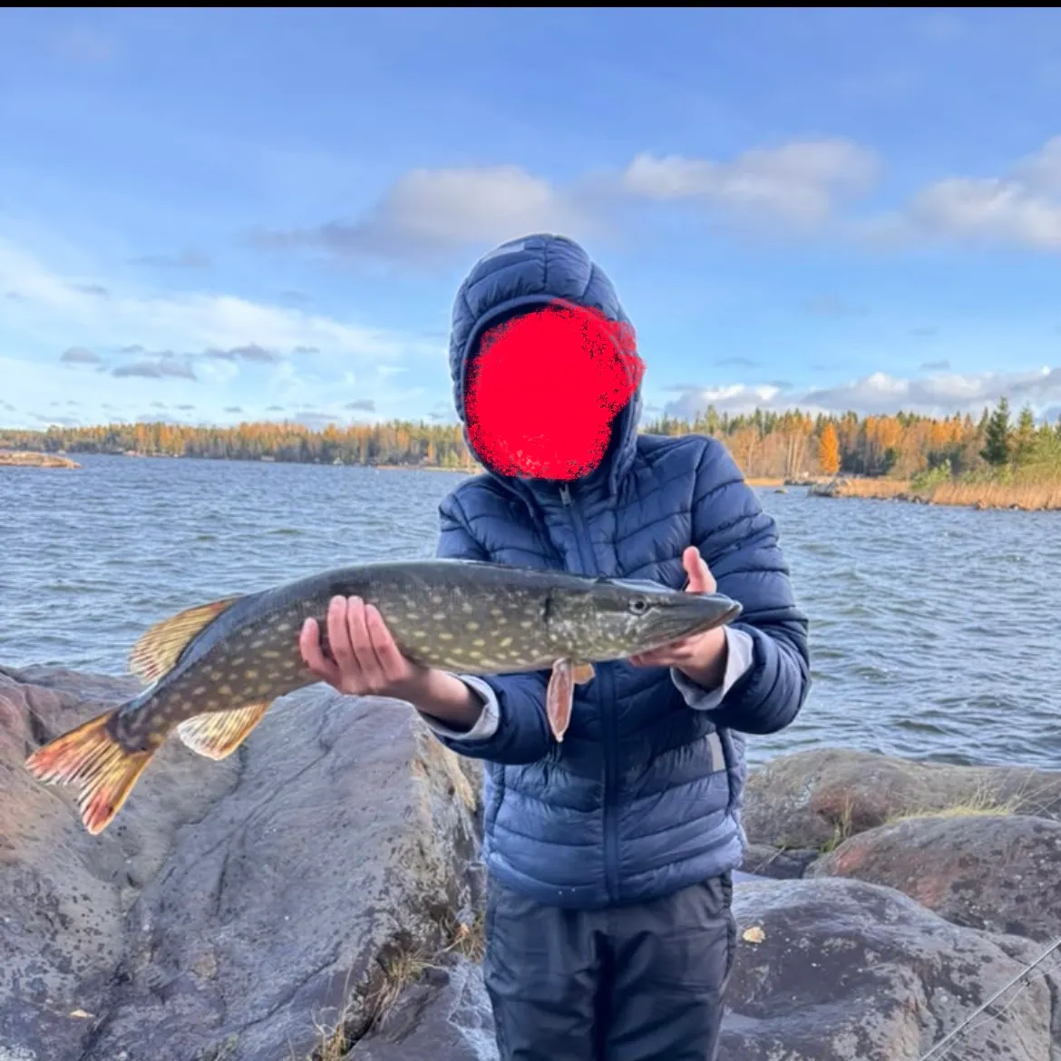 Northern pike caught on Fishbrain