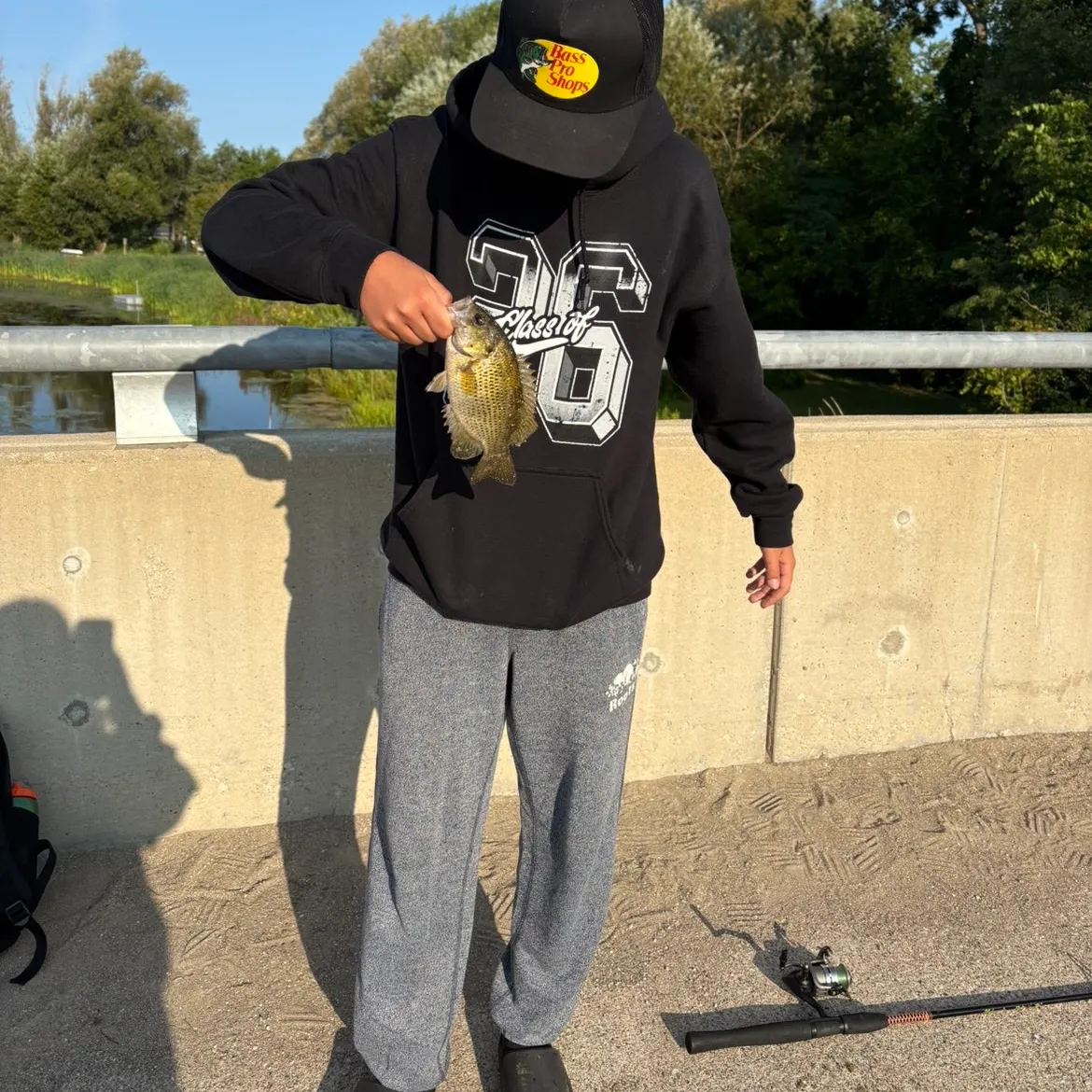 Rock bass caught on Fishbrain