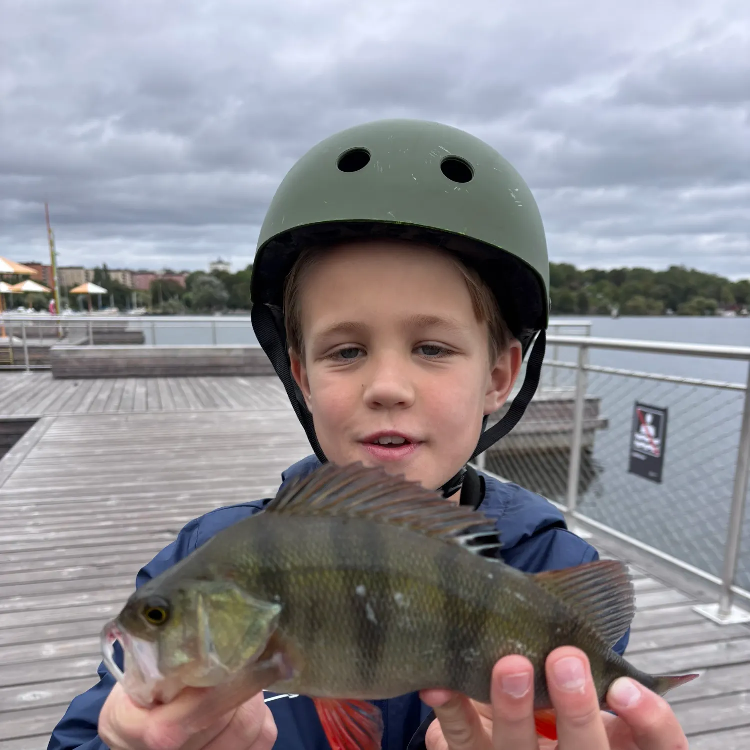 European perch caught on Fishbrain
