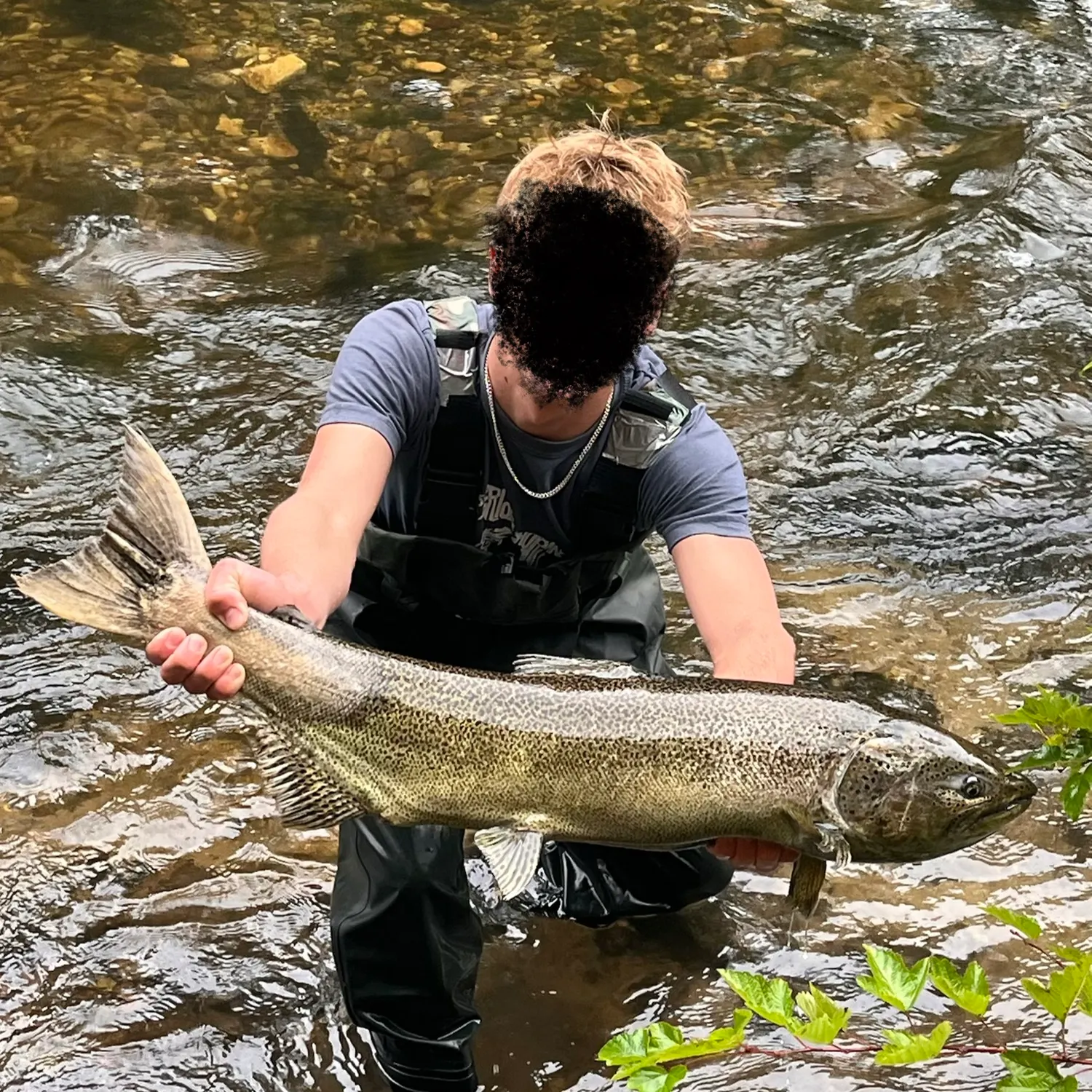 Chinook salmon caught on Fishbrain