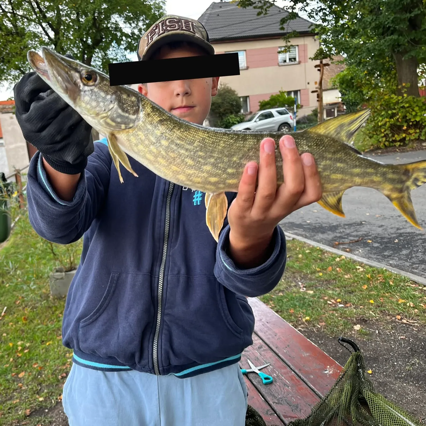 Northern pike caught on Fishbrain