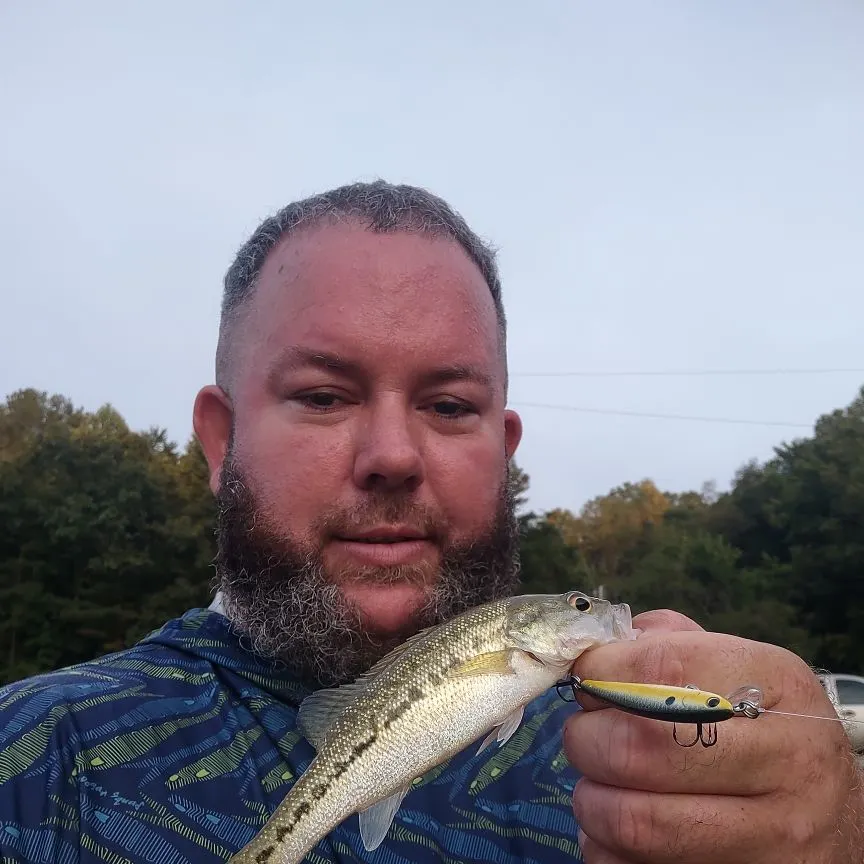 Spotted bass caught on Fishbrain