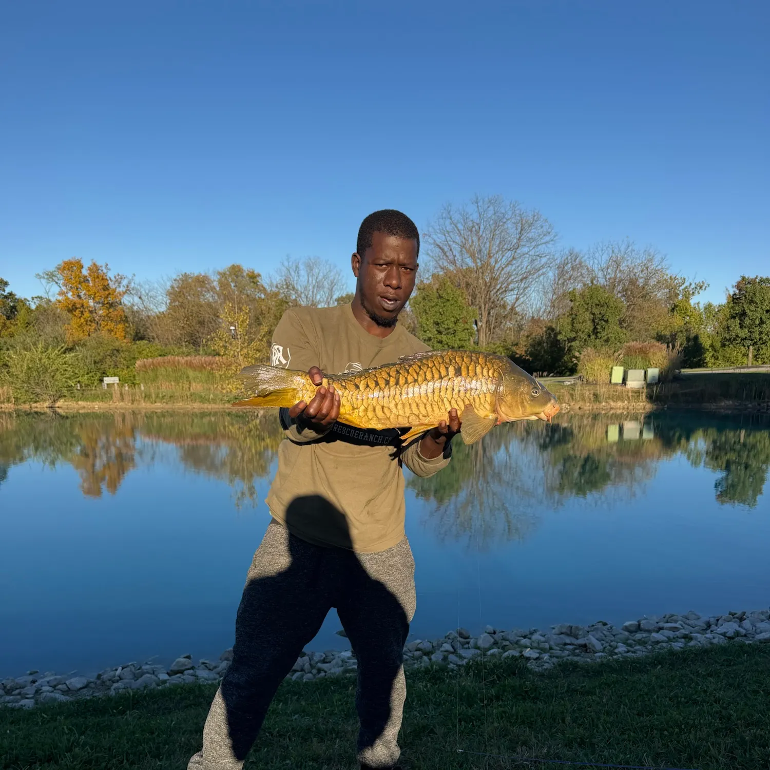Mirror carp caught on Fishbrain