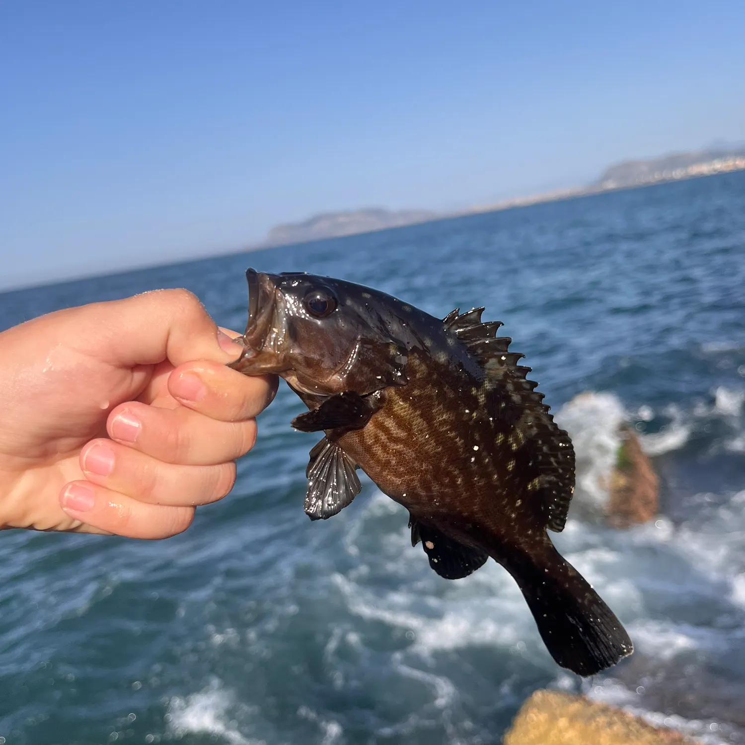 most liked catch image